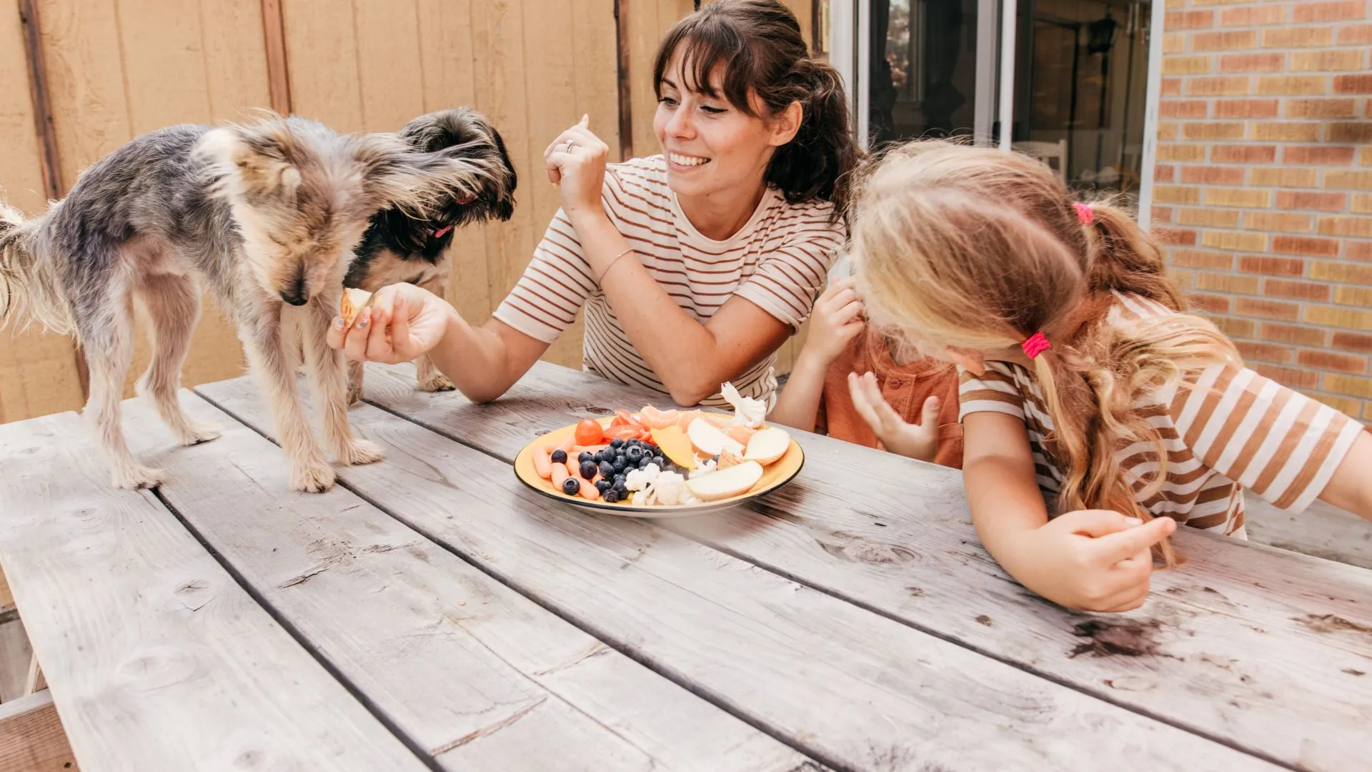 oshawa canada food Family and dog over a plate of food