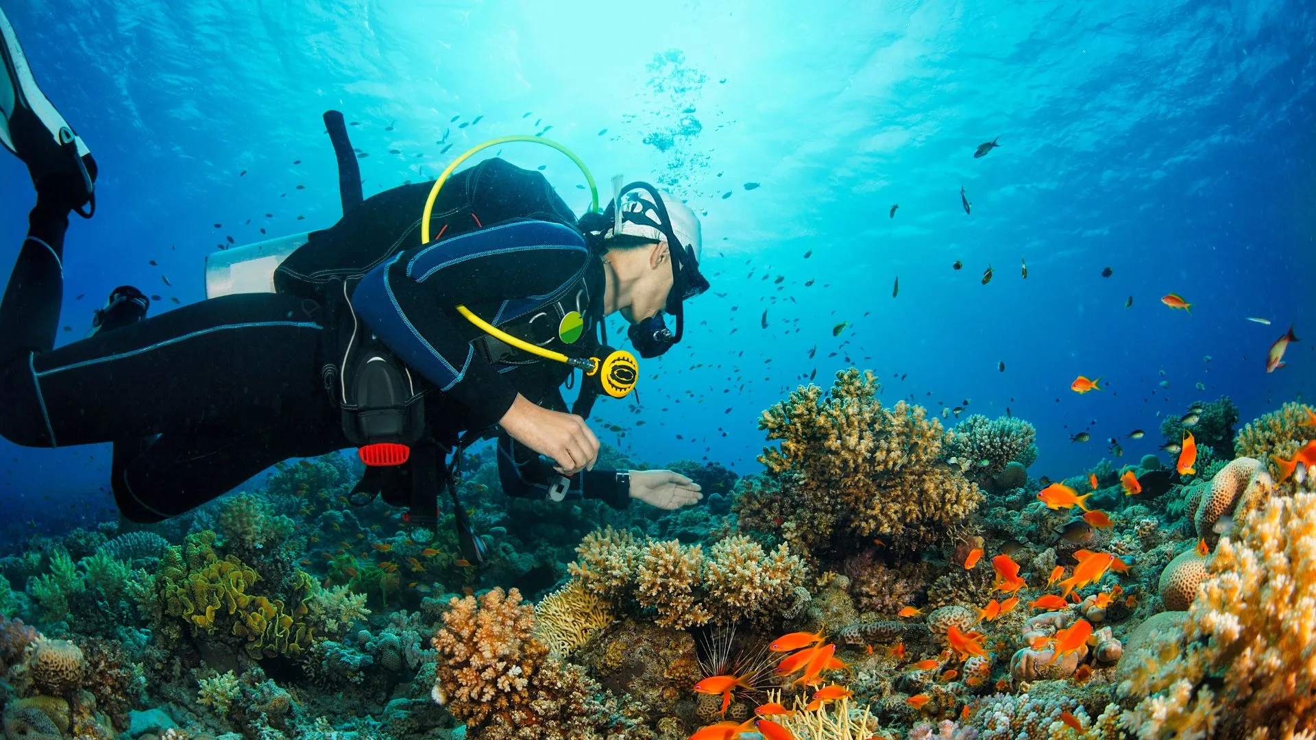 scuba diving-4 Wetsuit