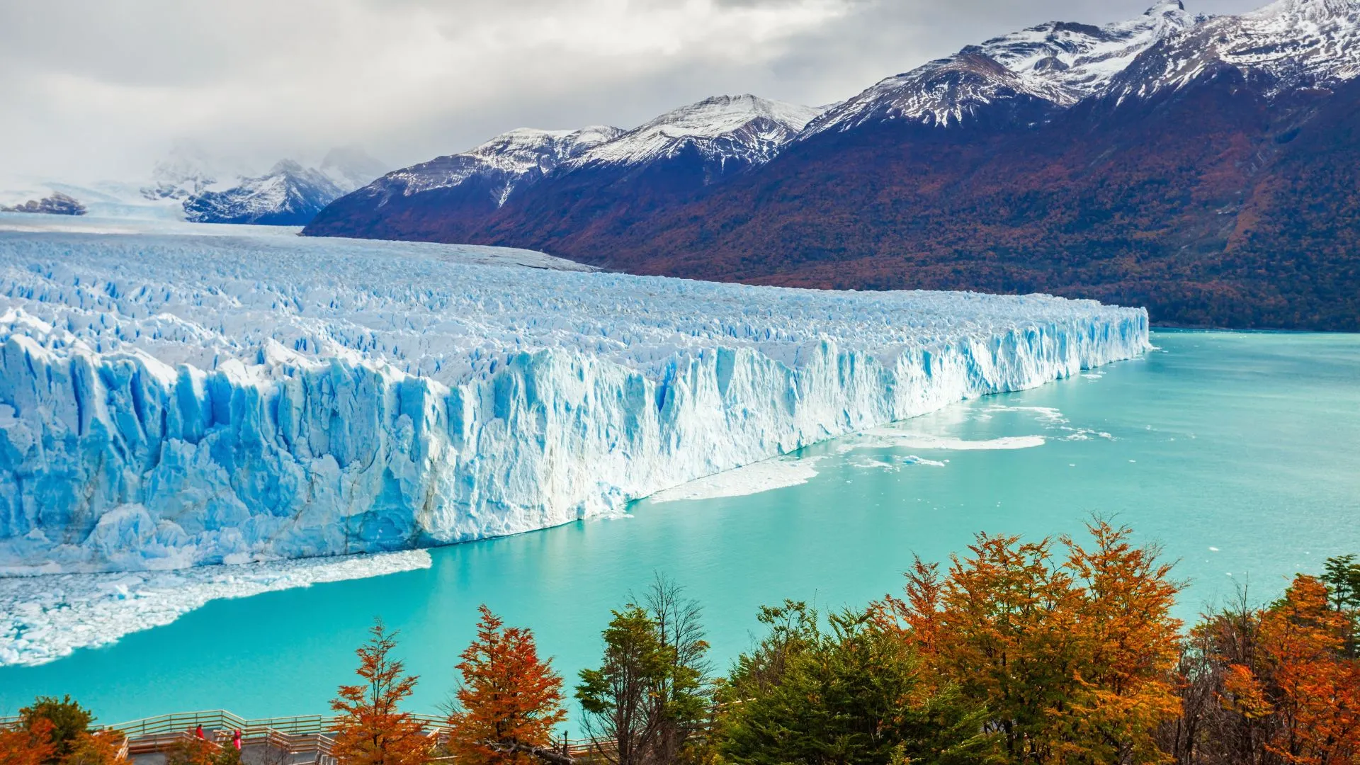 south american cruises (1) Cruises to antartica