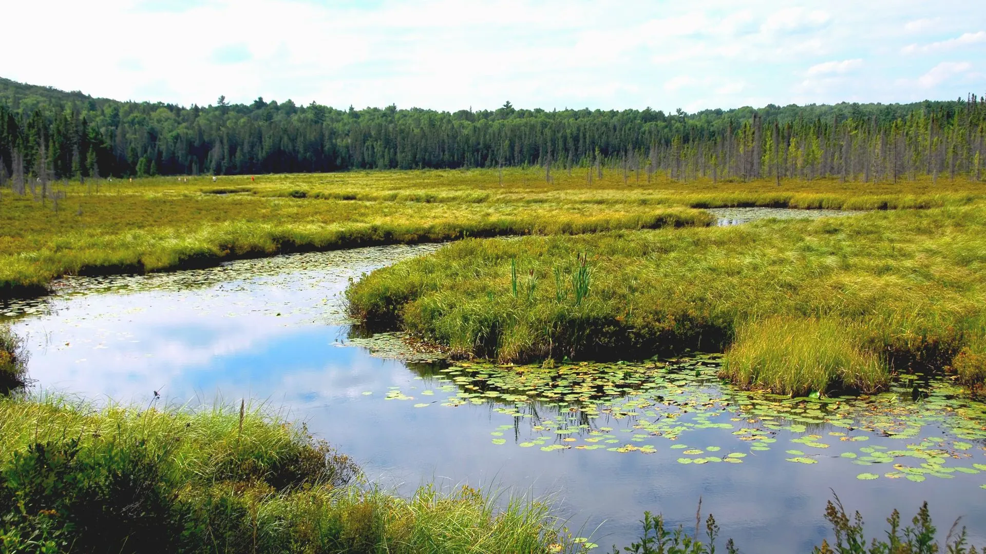 Argyle Shore Provincial Park-2