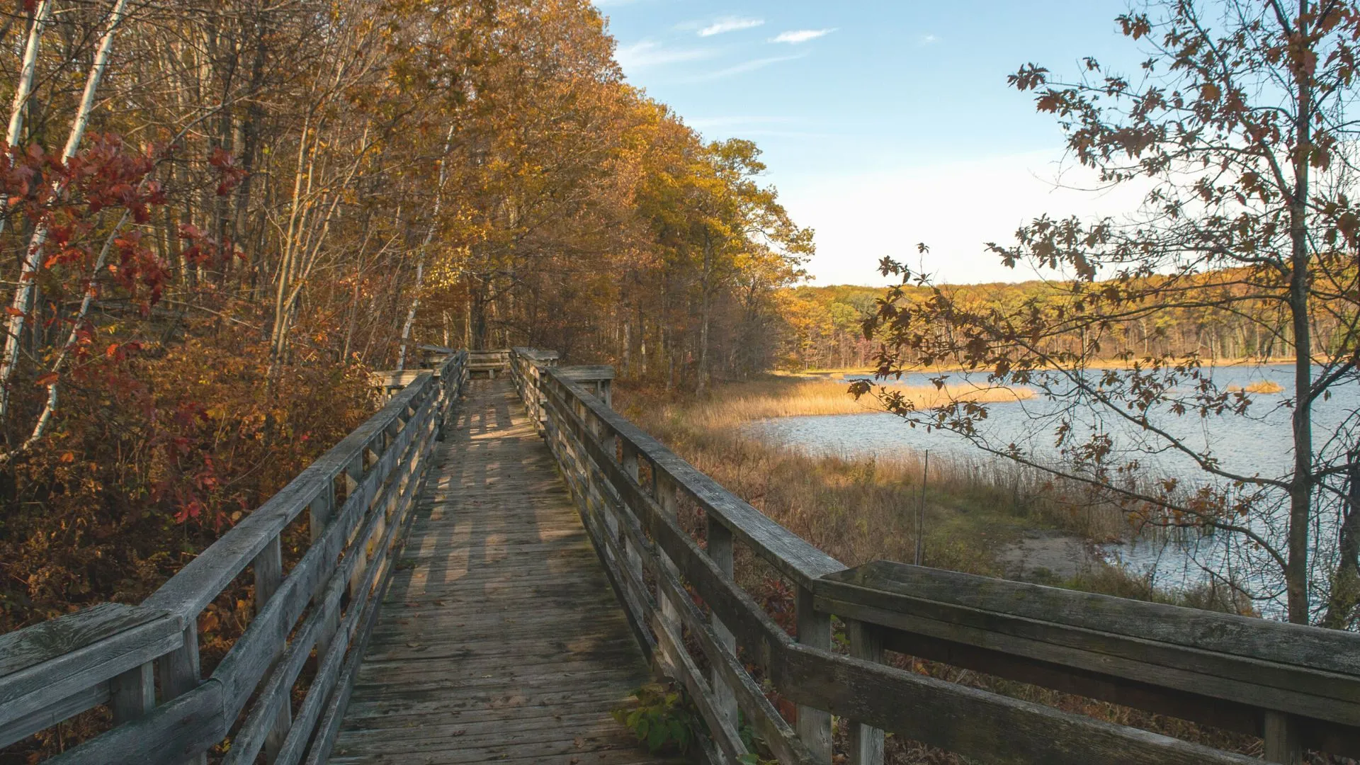 Argyle Shore Provincial Park-6