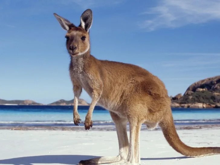 Australia Landmarks