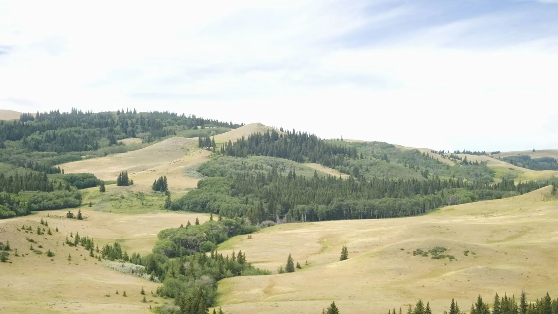 Bonshaw Hills Provincial Park-2