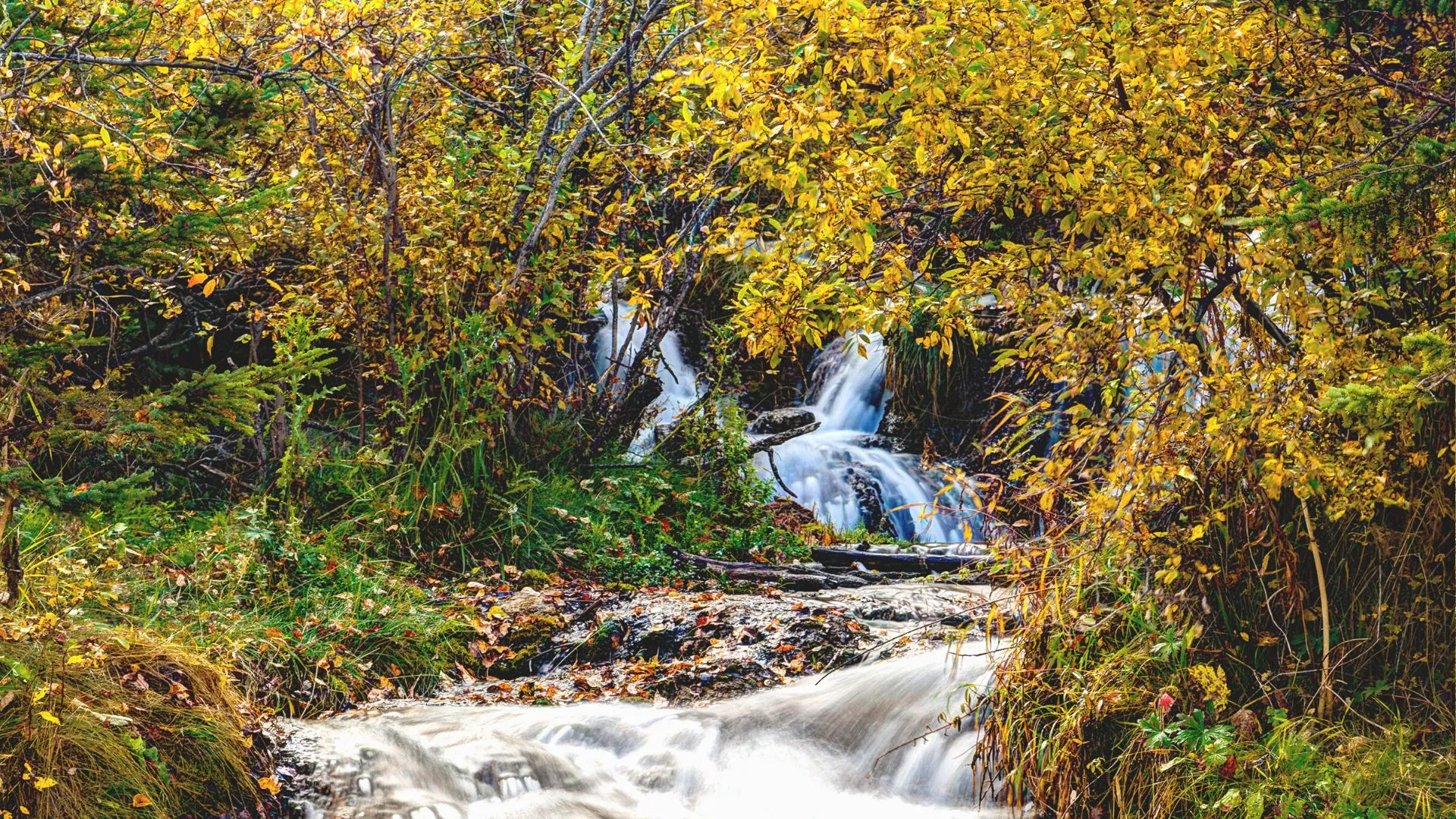 Bonshaw Hills Provincial Park-3