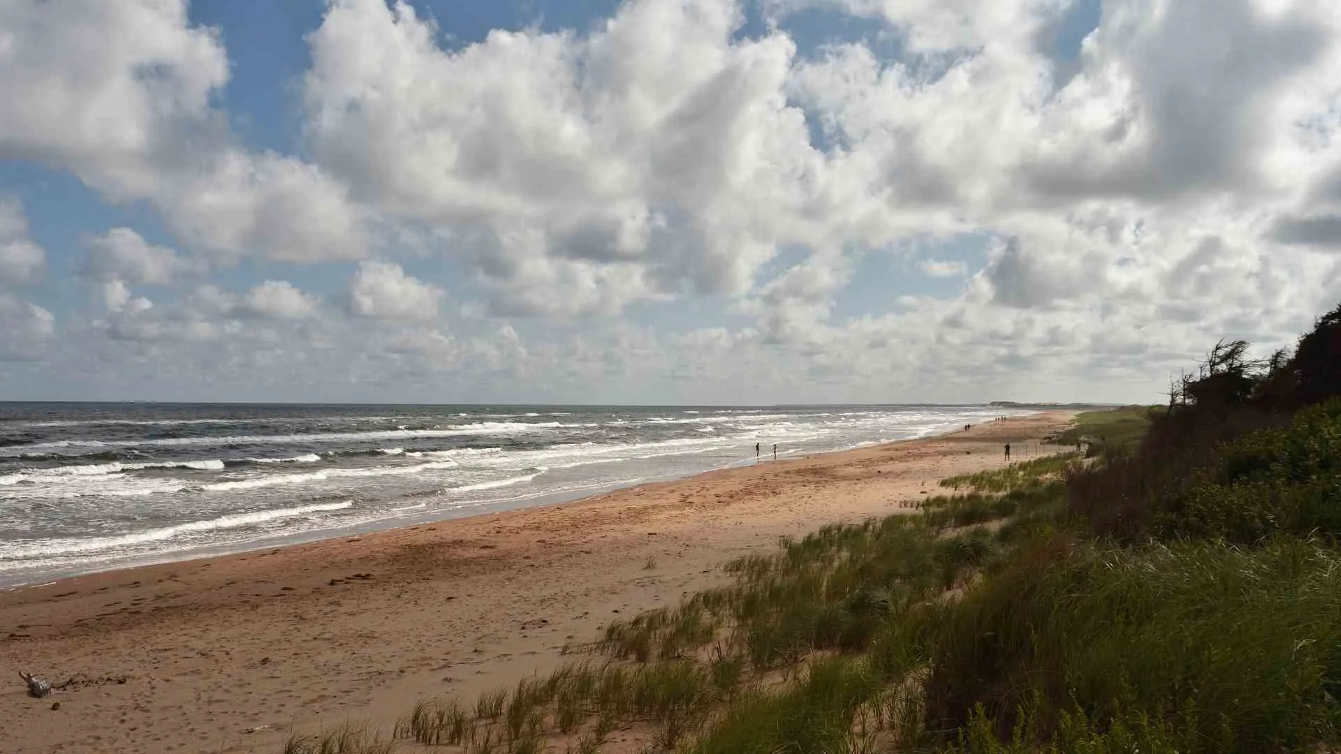 Cavendish Beach-4