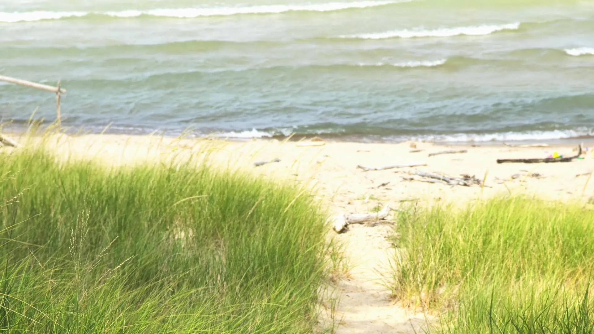 Cedar Dunes Provincial Park-3