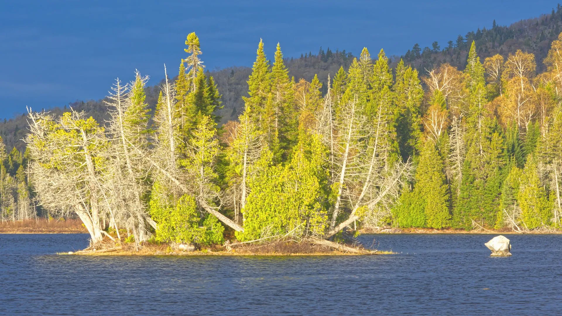 Cedar Dunes Provincial Park-4