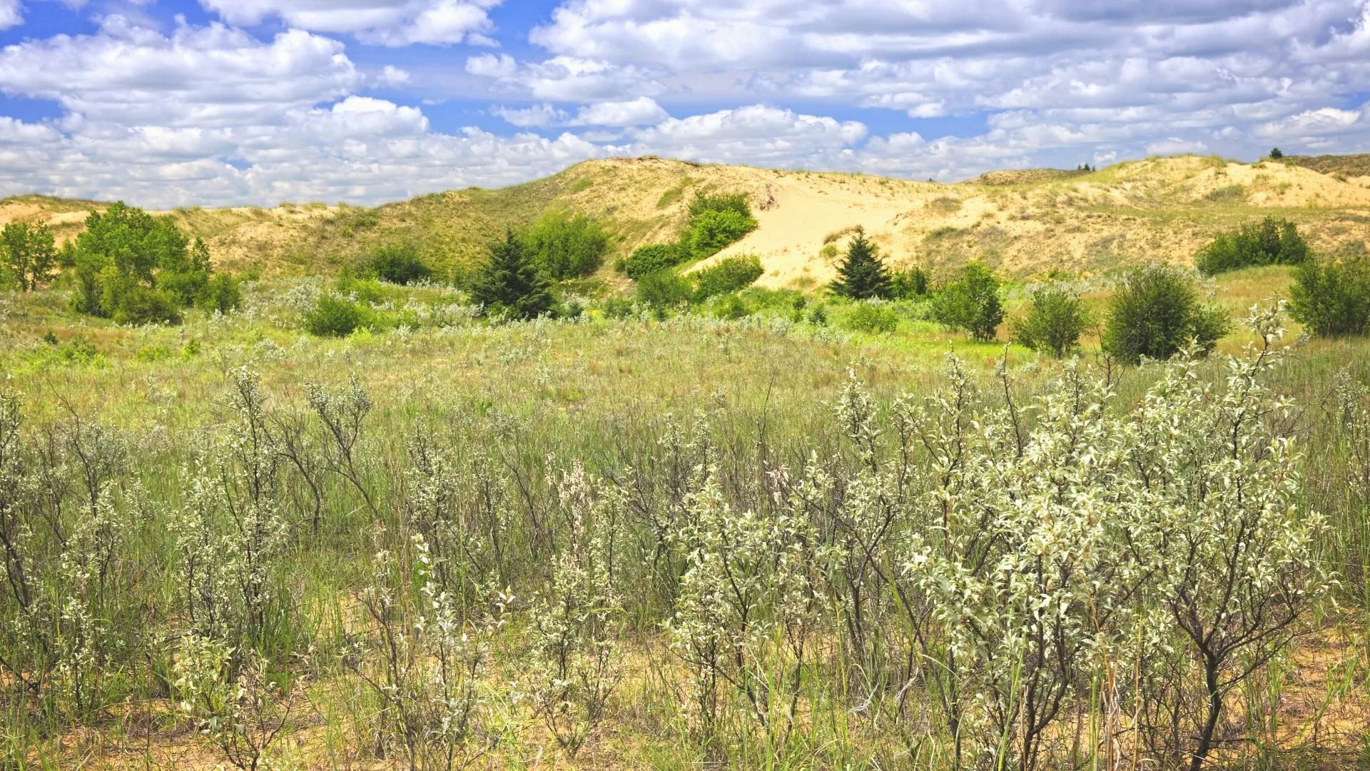 Cedar Dunes Provincial Park-8
