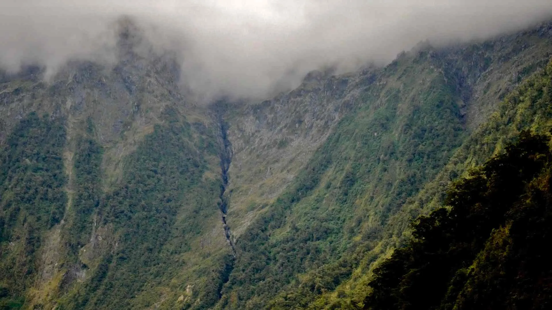 Doubtful Sound Land Exploration Doubtful Sound Land Exploration