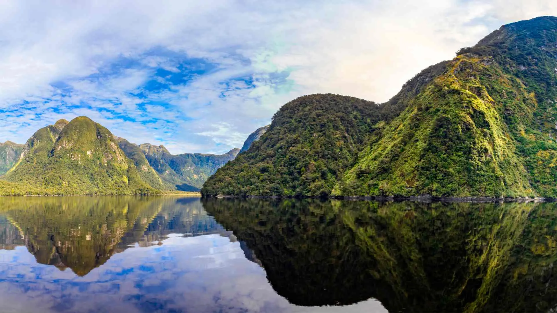 Cruising Doubtful Sound (4) greenery at Doubtful Sound