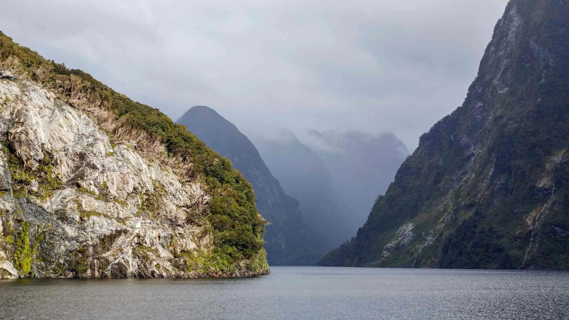 Doubtful Sound protruding rock Doubtful Sound protruding rock