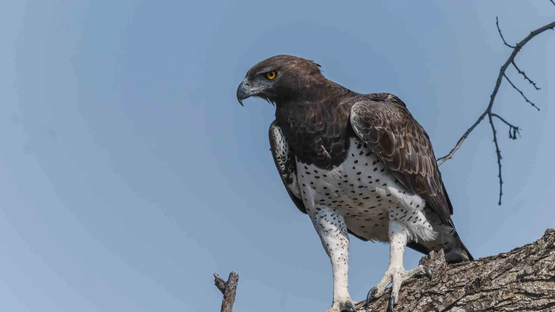 Eagle Plains-7