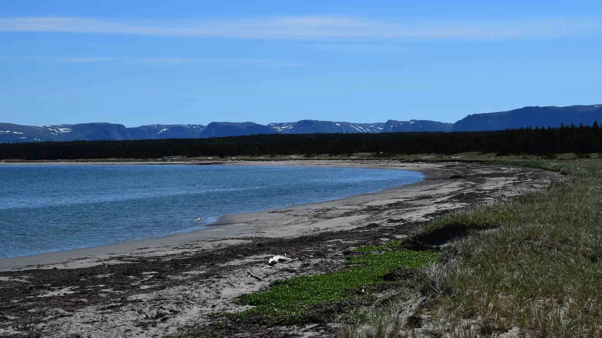 Eastport Beach-8