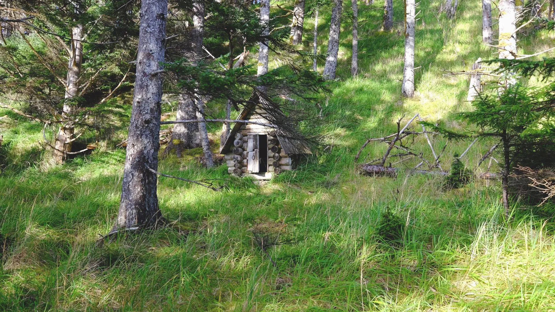 Elliston Root Cellar Row-2