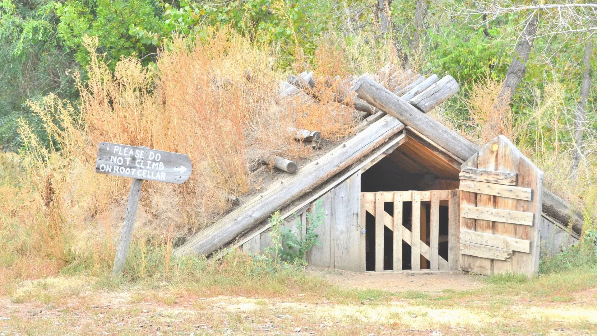 Elliston Root Cellar Row-3