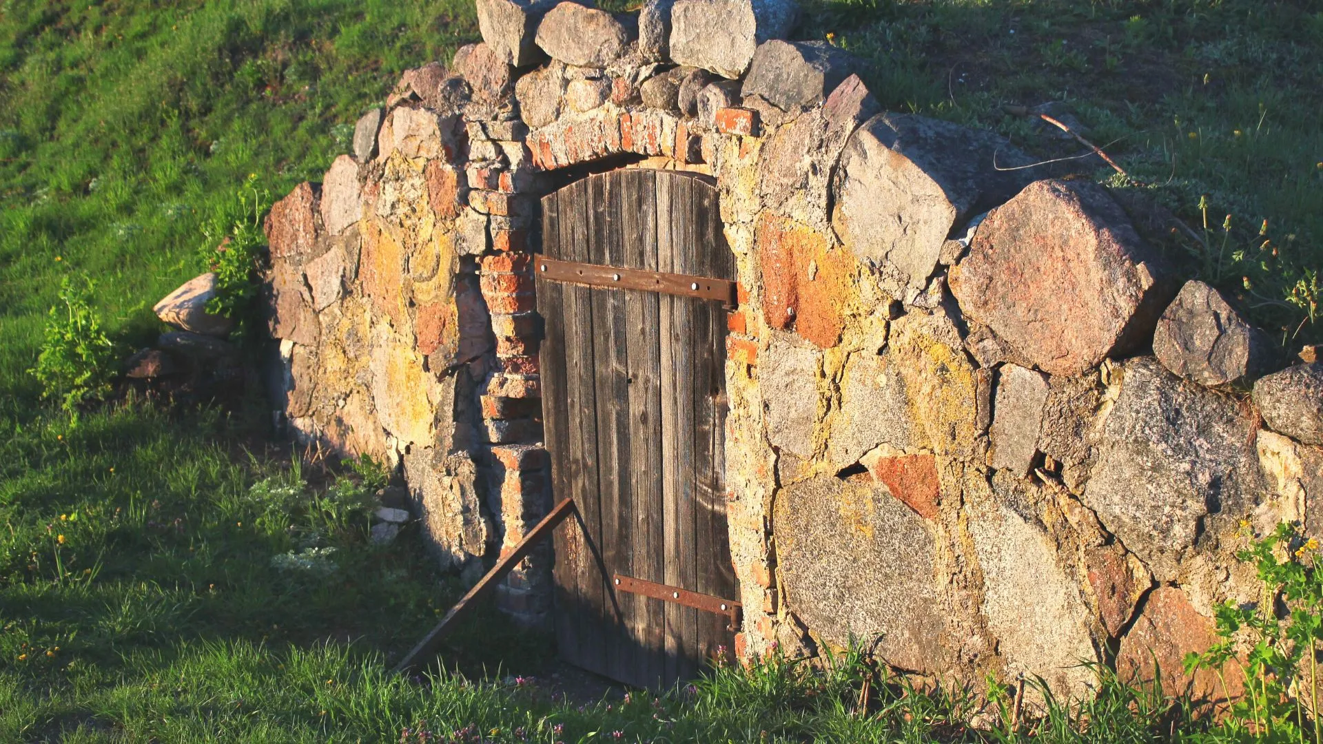 Elliston Root Cellar Row-4