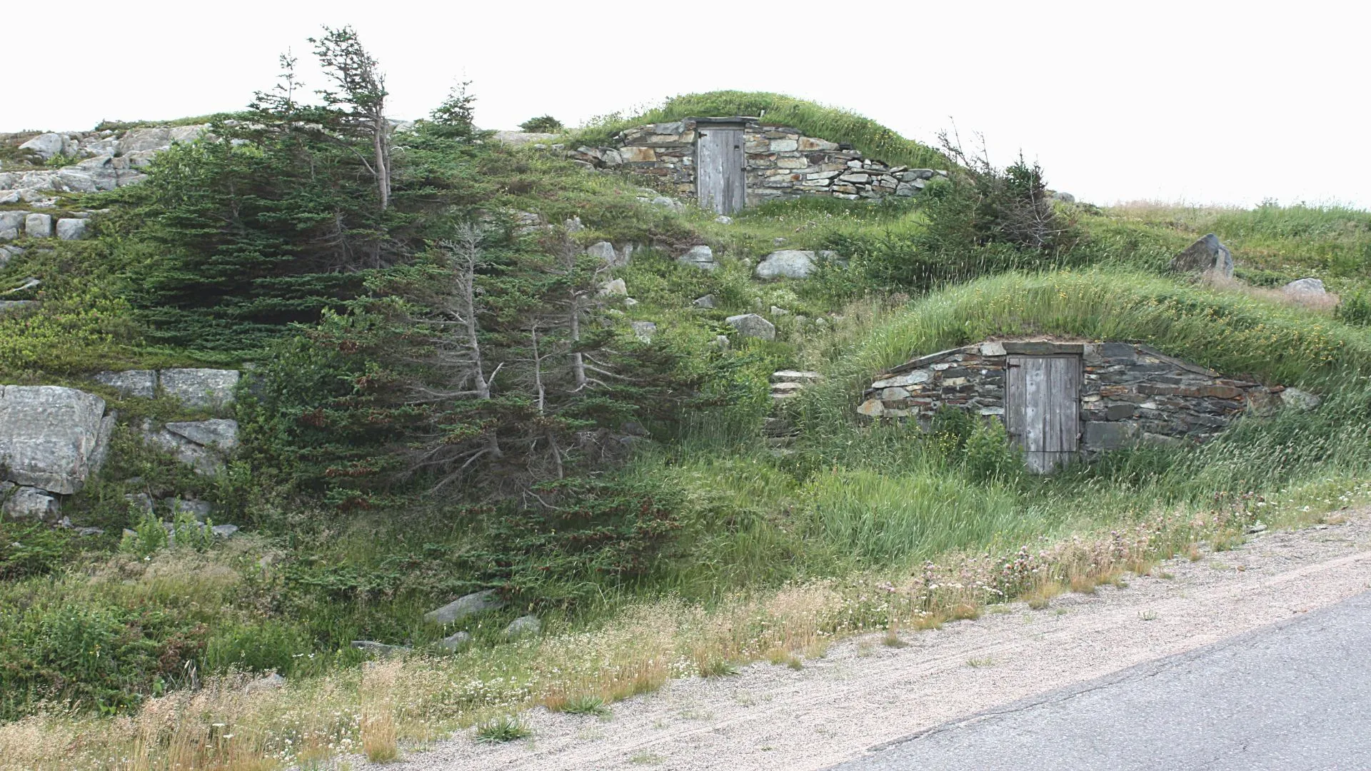 Elliston Root Cellar Row-5