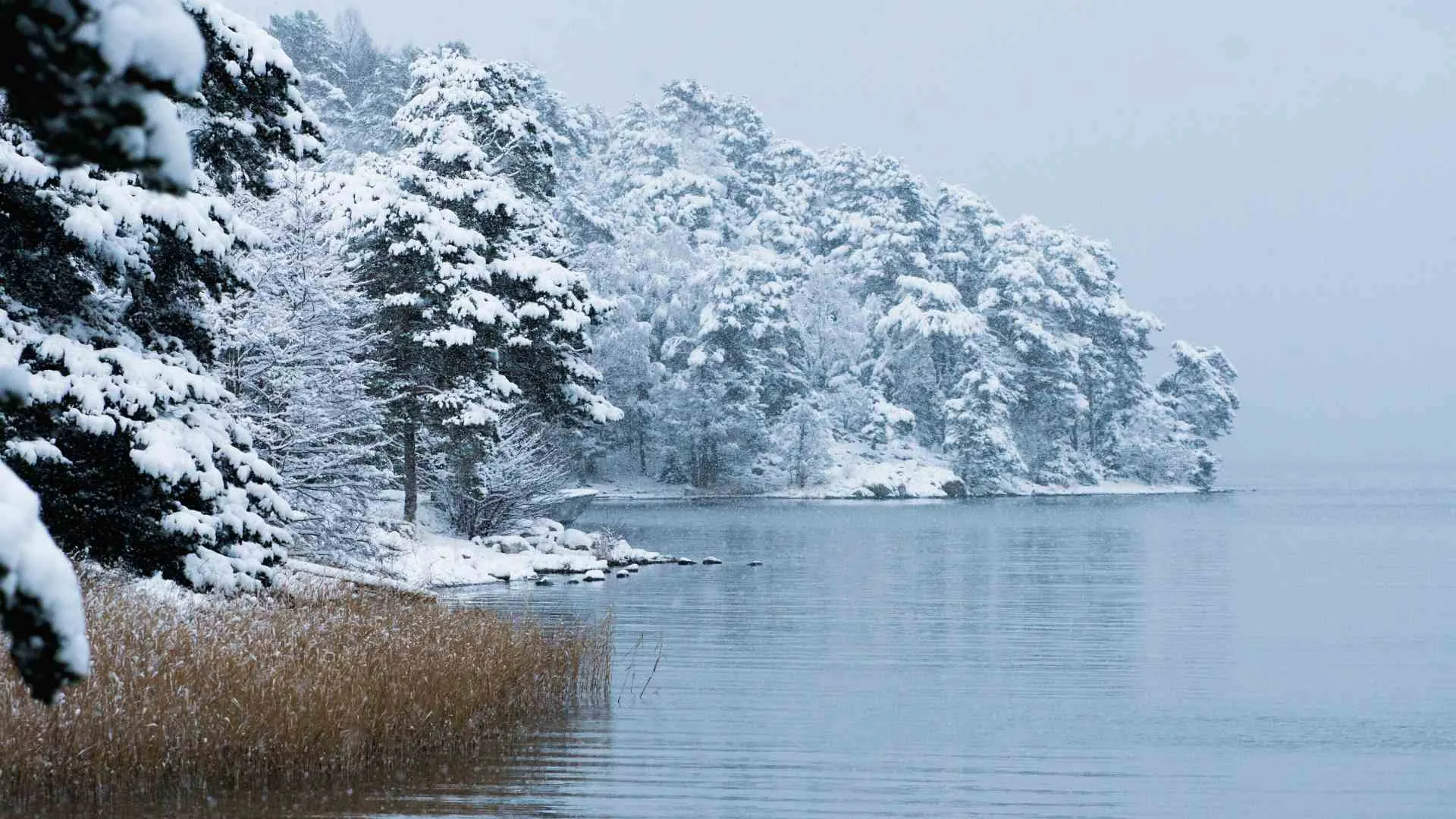 Emma Lake-7