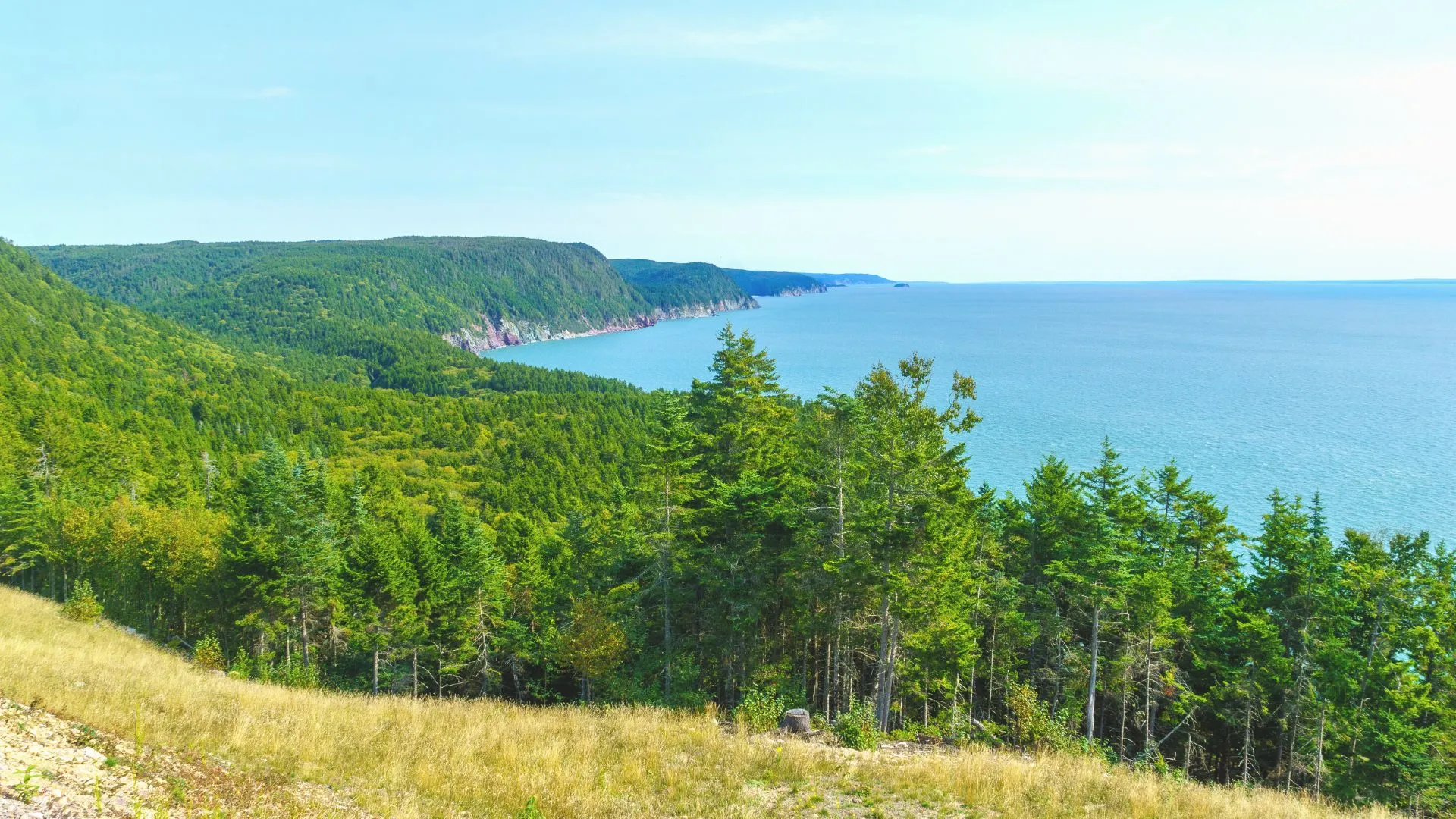 Fundy Coastal Drive-2