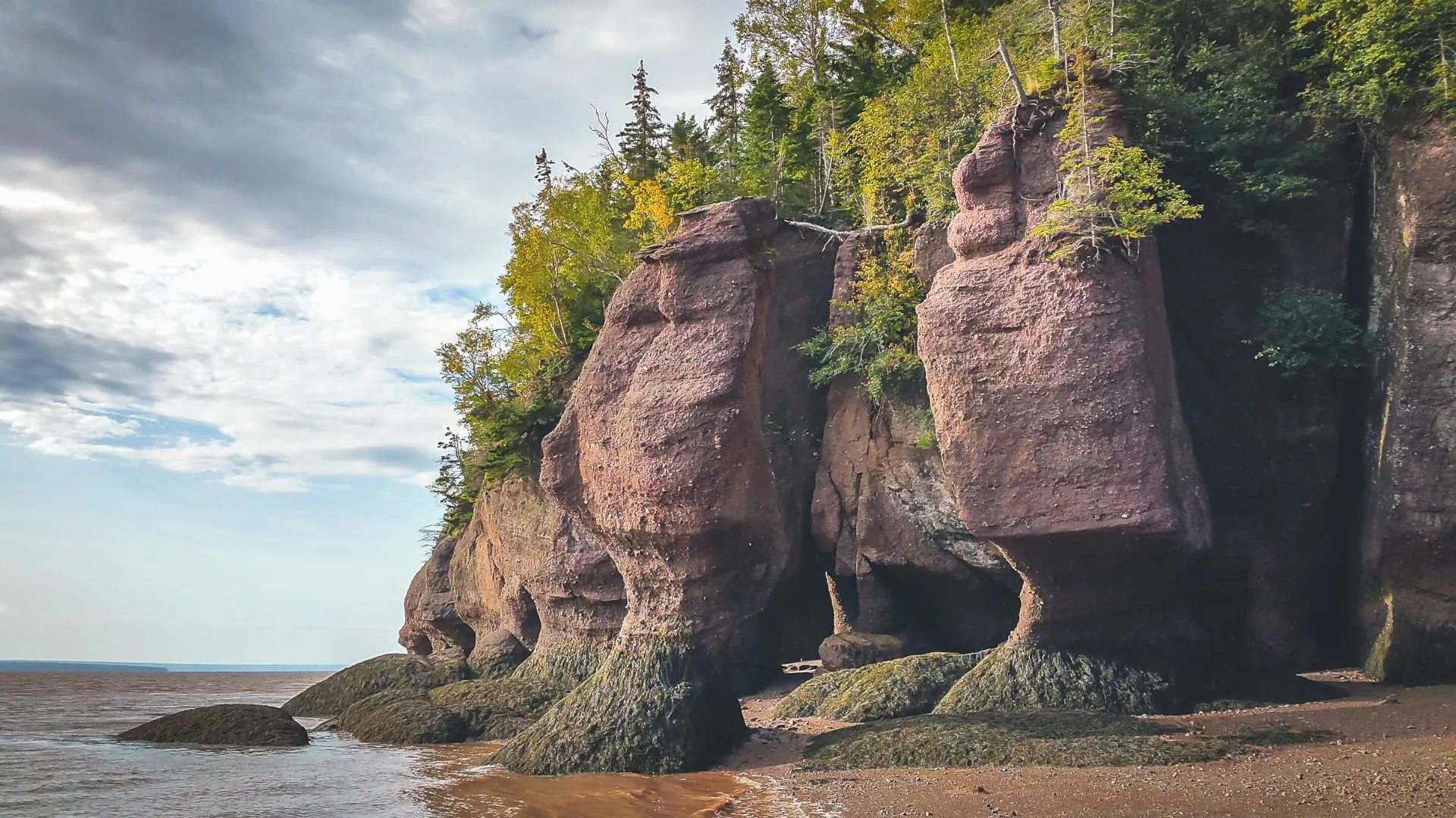 Fundy Coastal Drive-4
