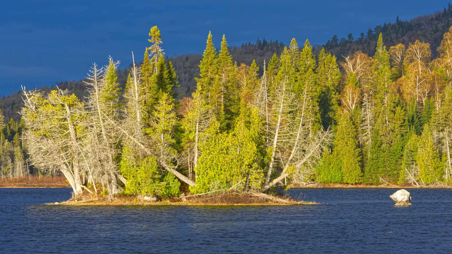 Graves Island Provincial Park-6