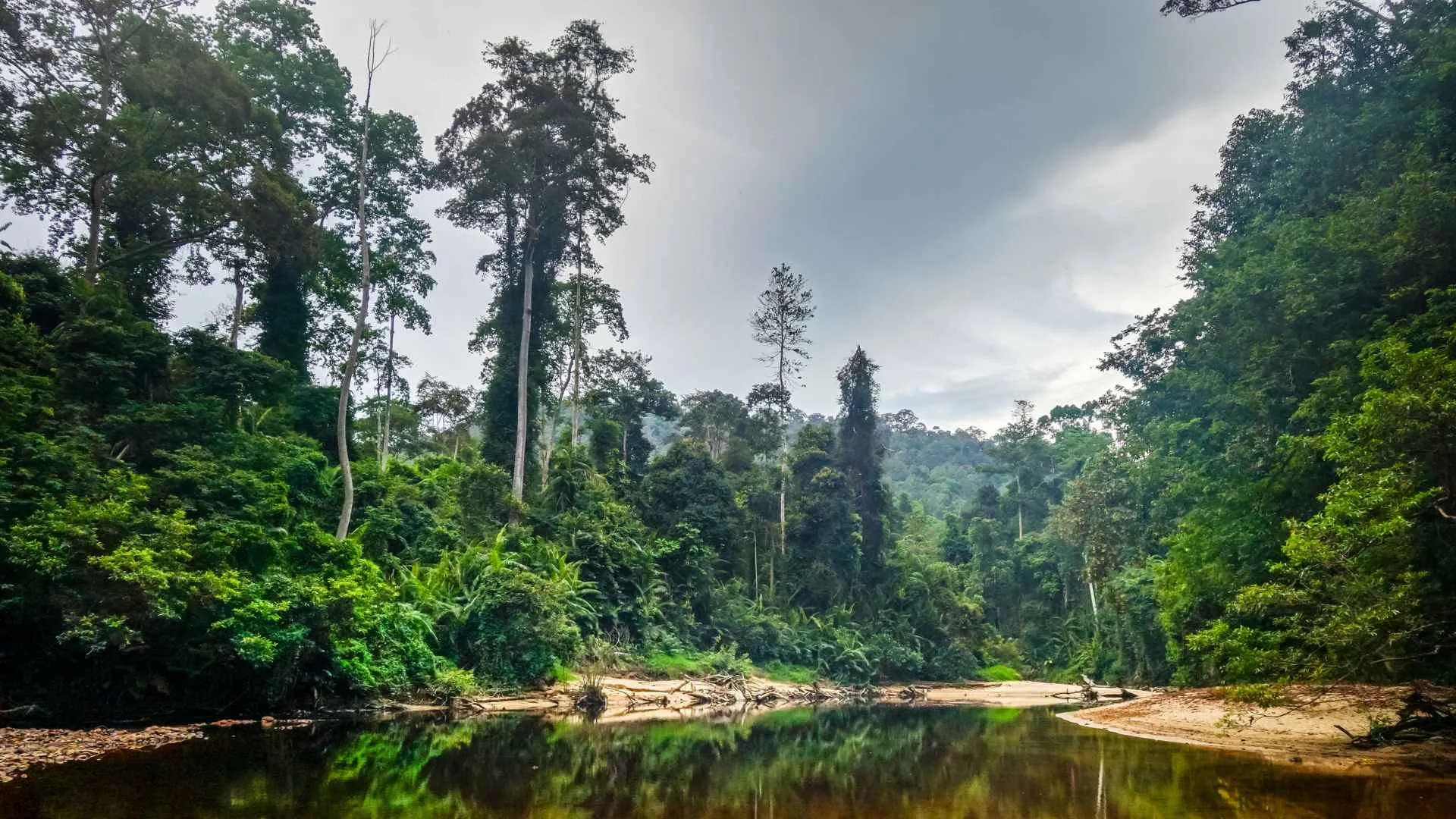 characteristics of ecotourism