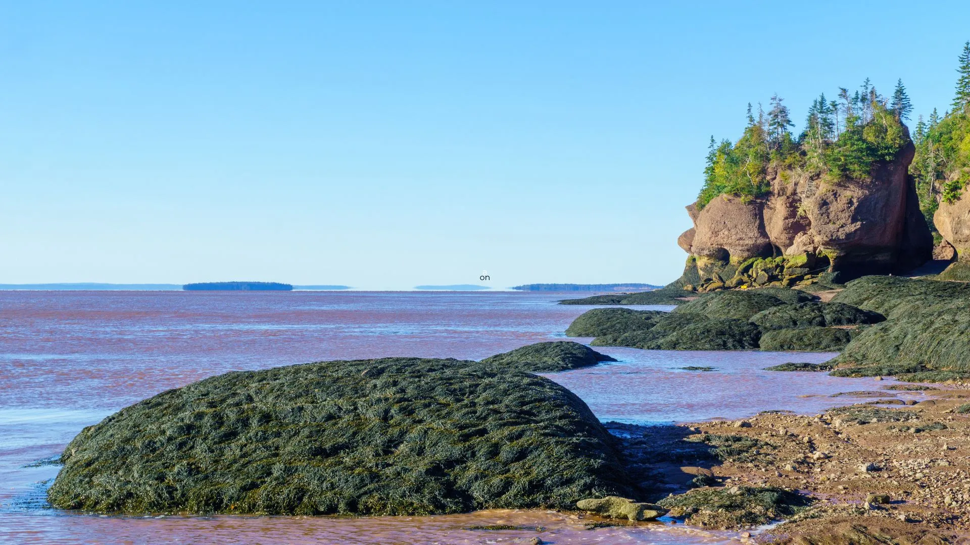 Hopewell Rocks-3