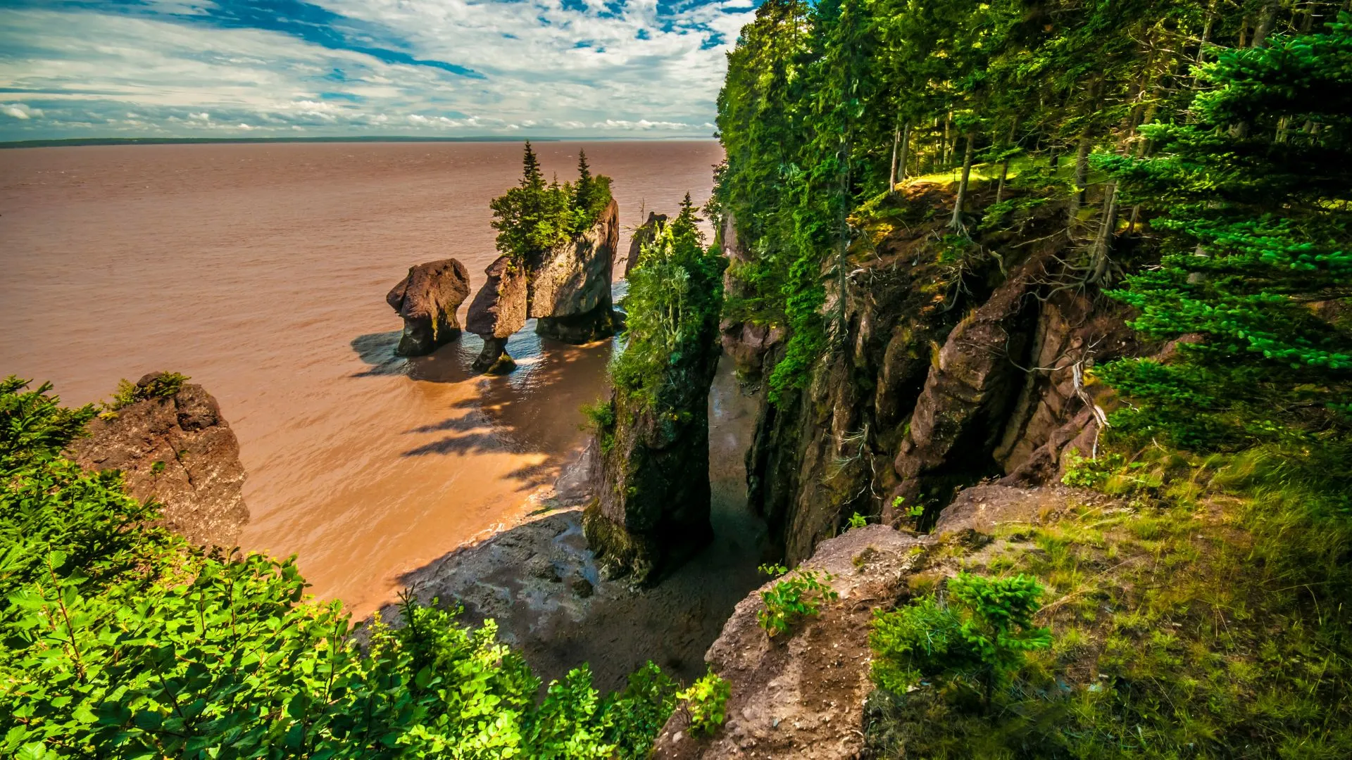 Hopewell Rocks-5