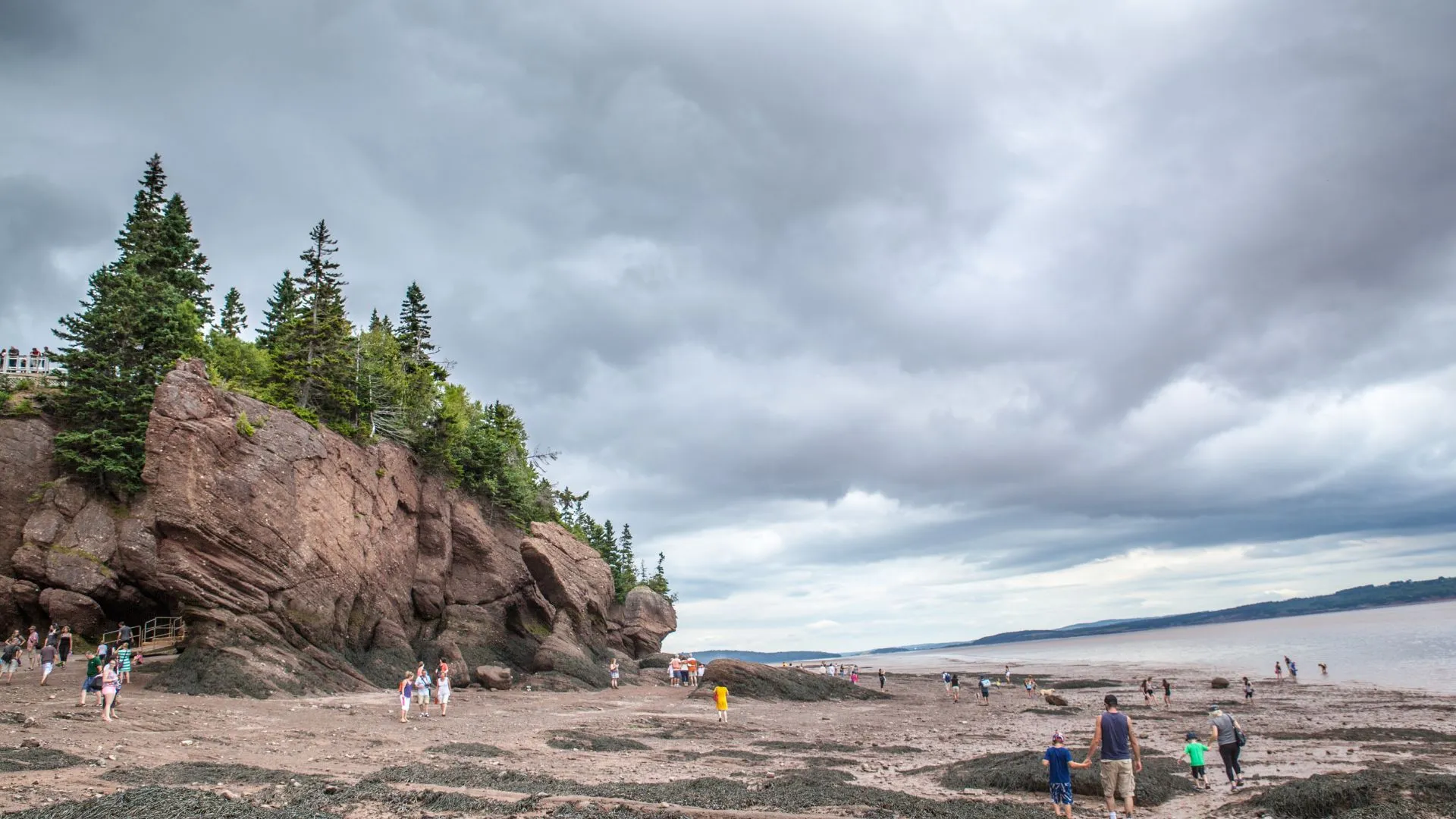 Hopewell Rocks-6