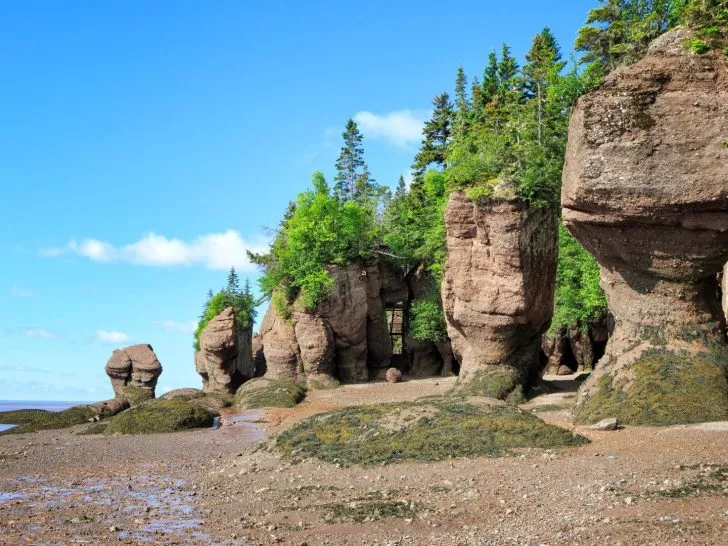 Hopewell Rocks