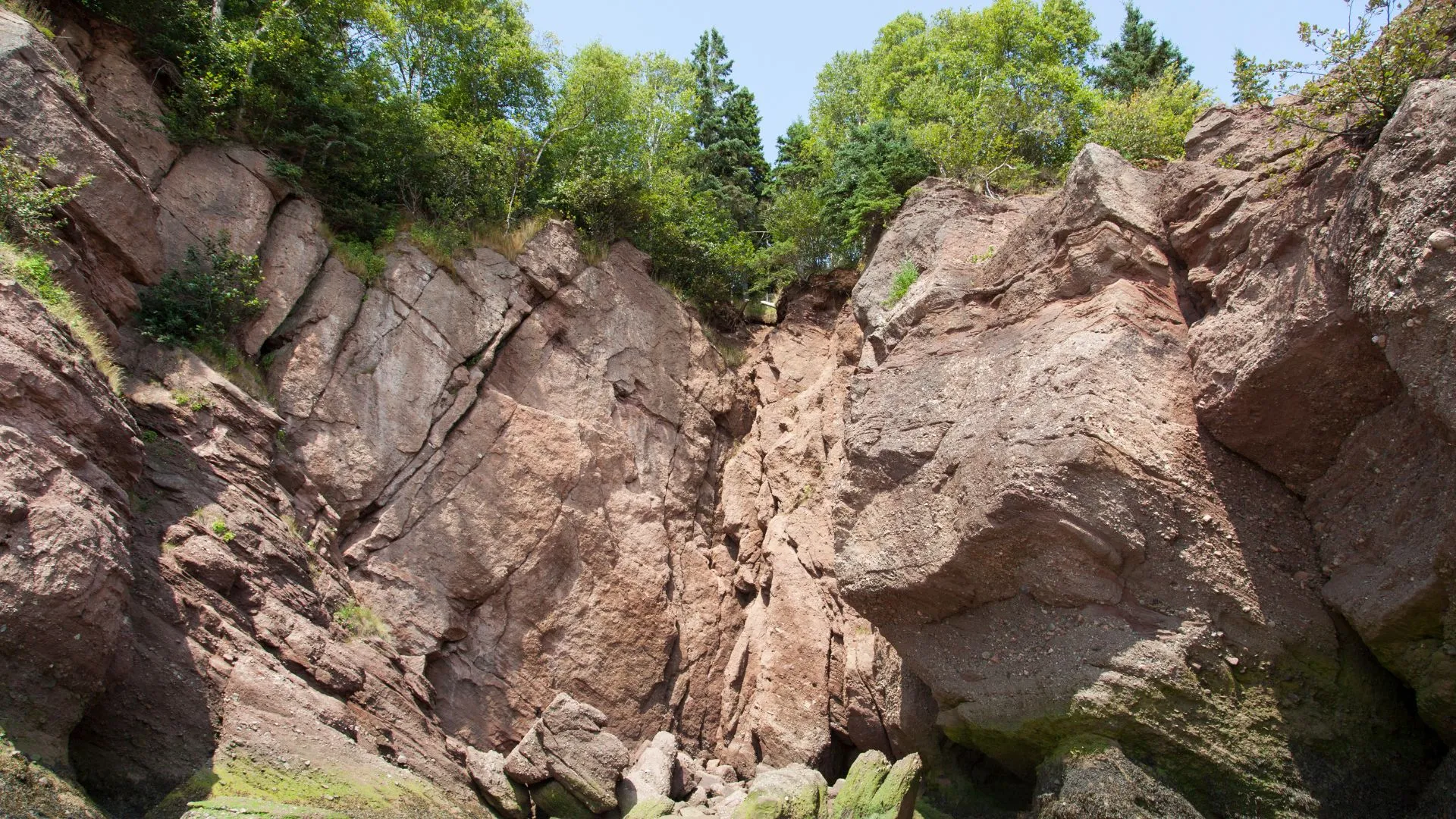 Hopewell Rocks-8