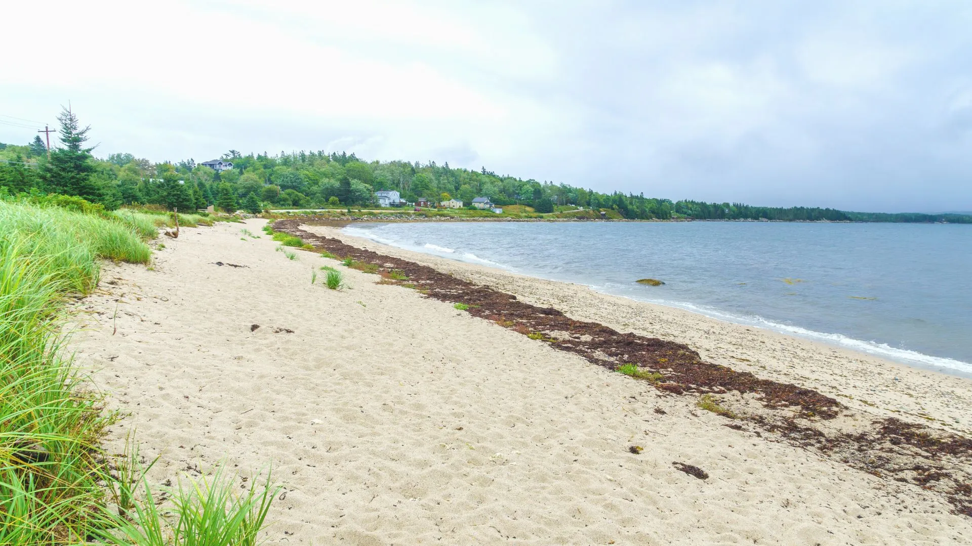 Ingomar Beach-5