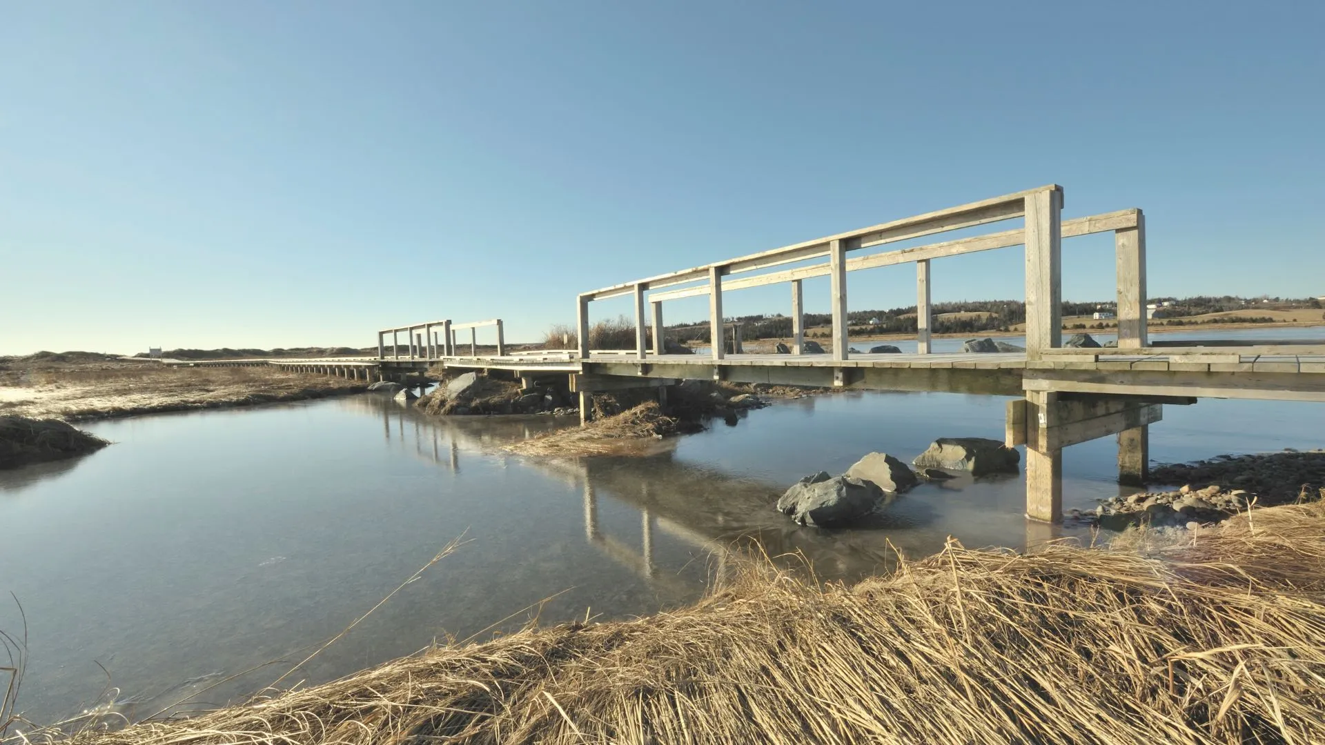 Ingomar Beach-7