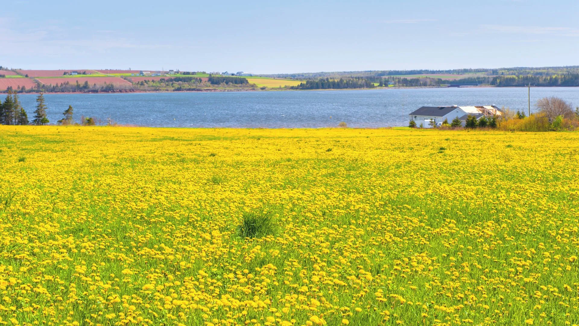 Prince Edward Island Beaches-9