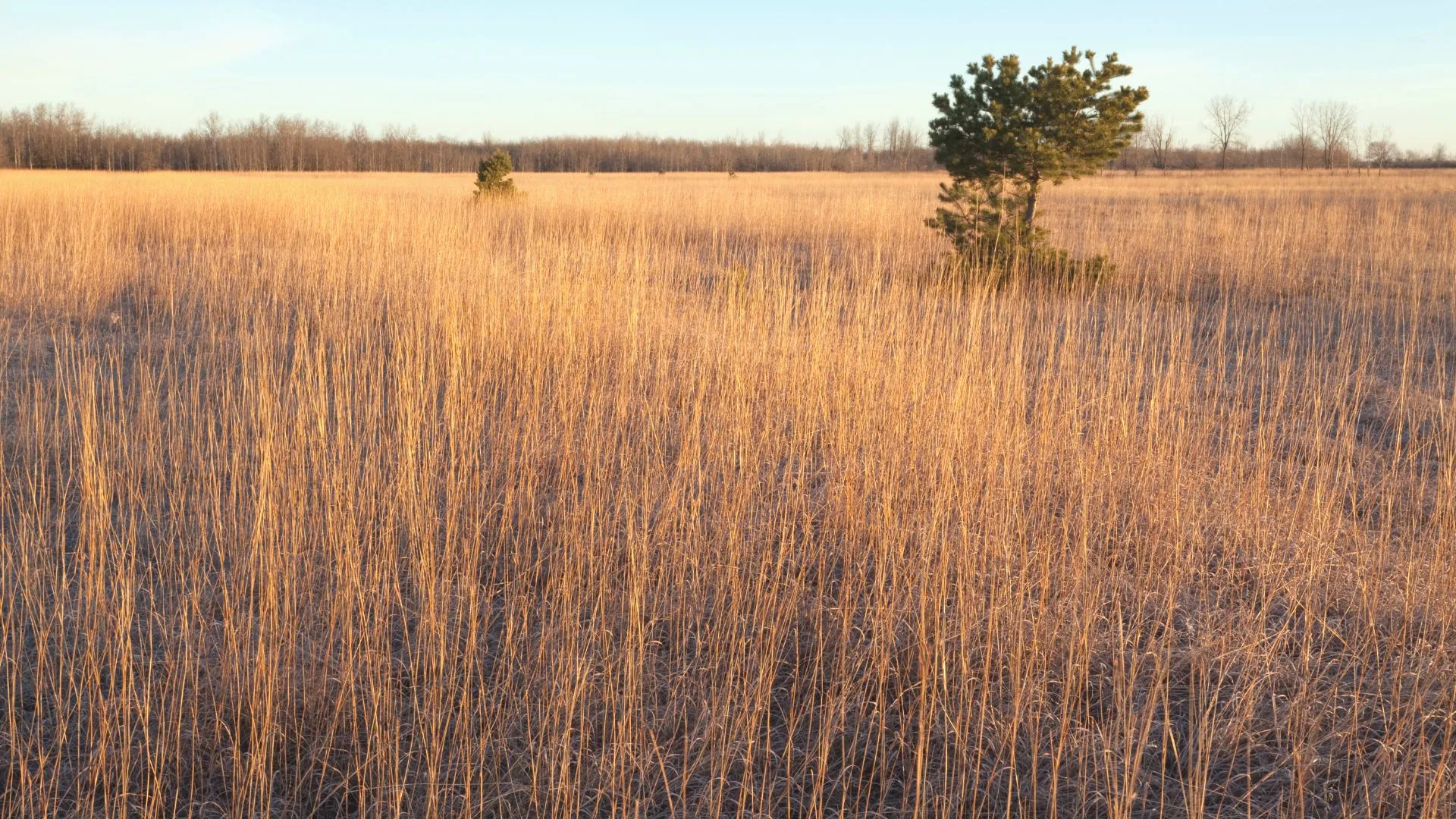 Tea Hill Provincial Park-4