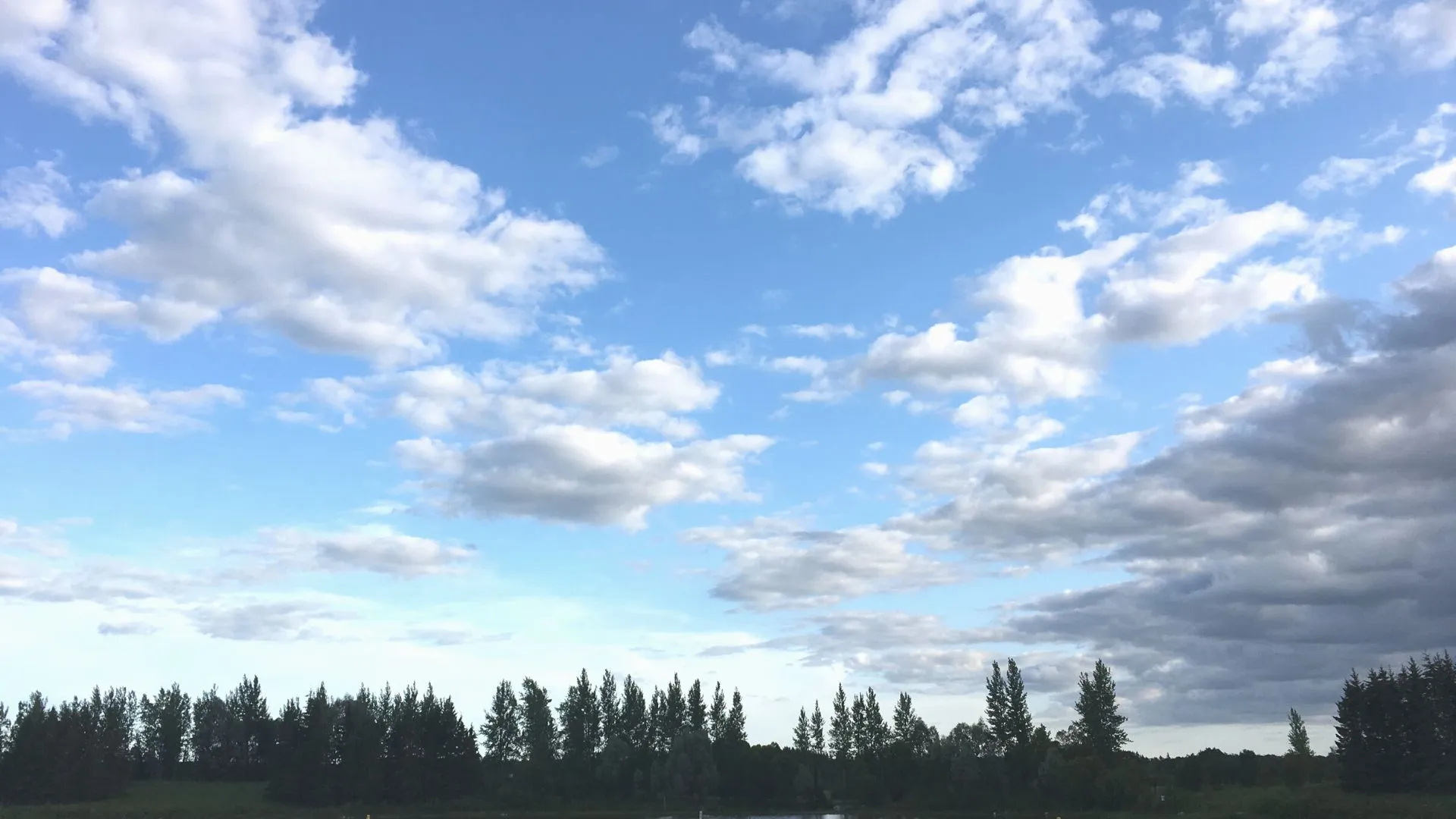 Tea Hill Provincial Park-5