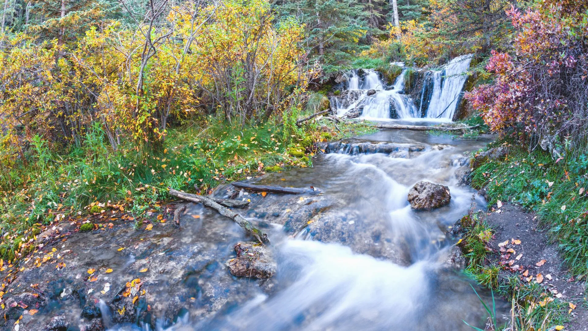 Tea Hill Provincial Park-7
