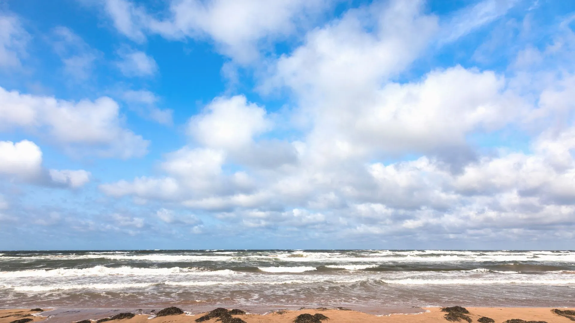 Thunder Cover Beach-5