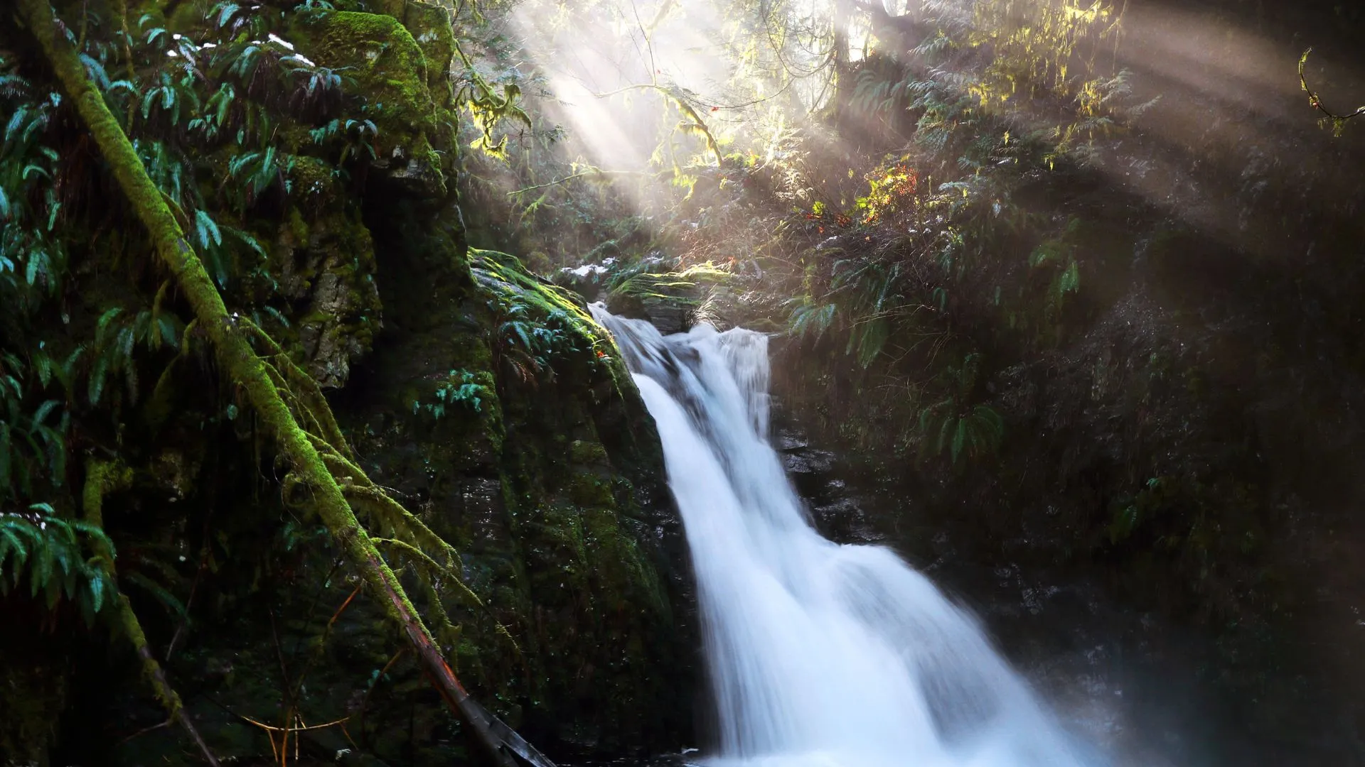waterfalls vancouver island waterfalls vancouver island