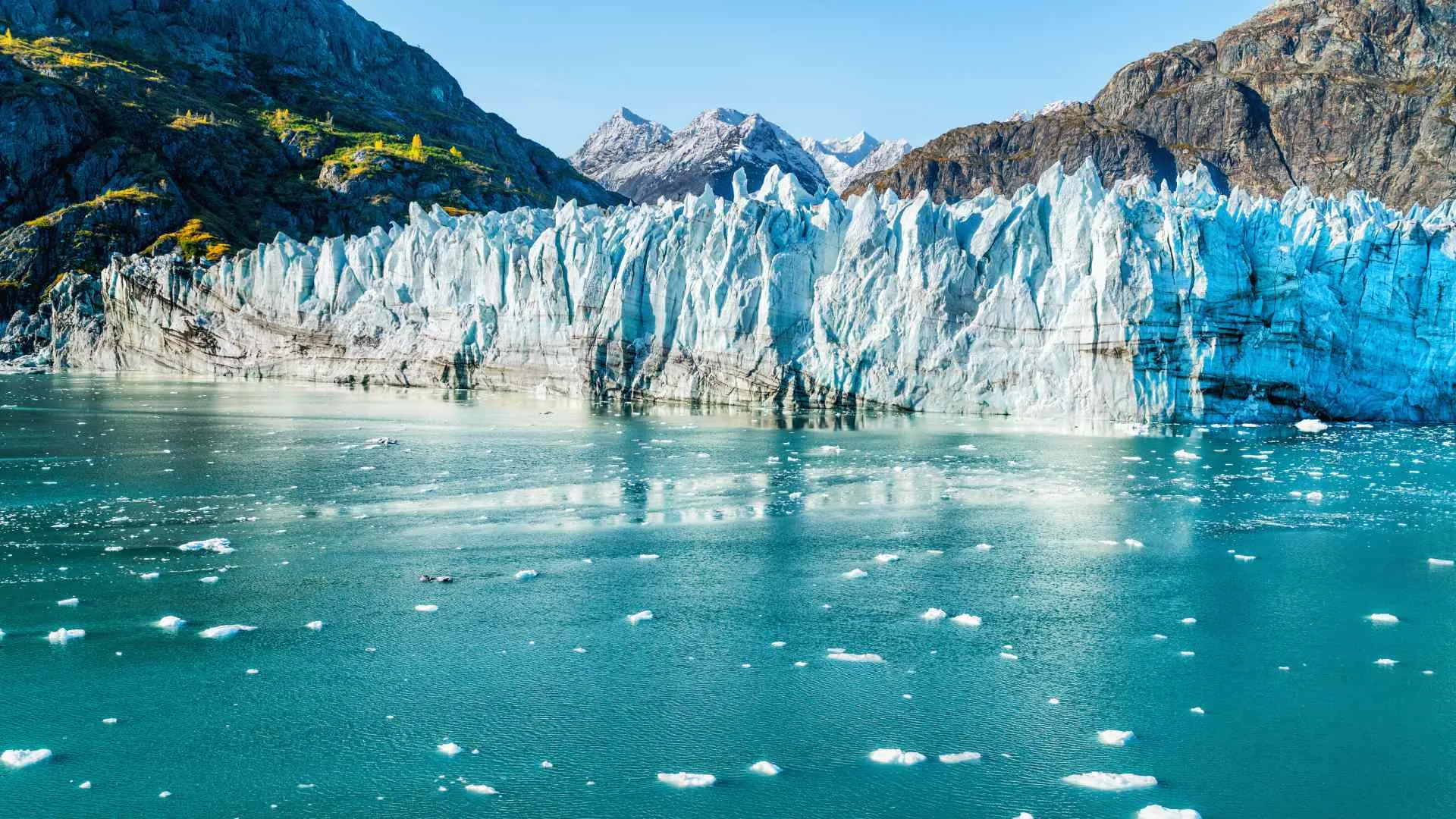 best excursions on Alaska cruise-7 Glacier Bay