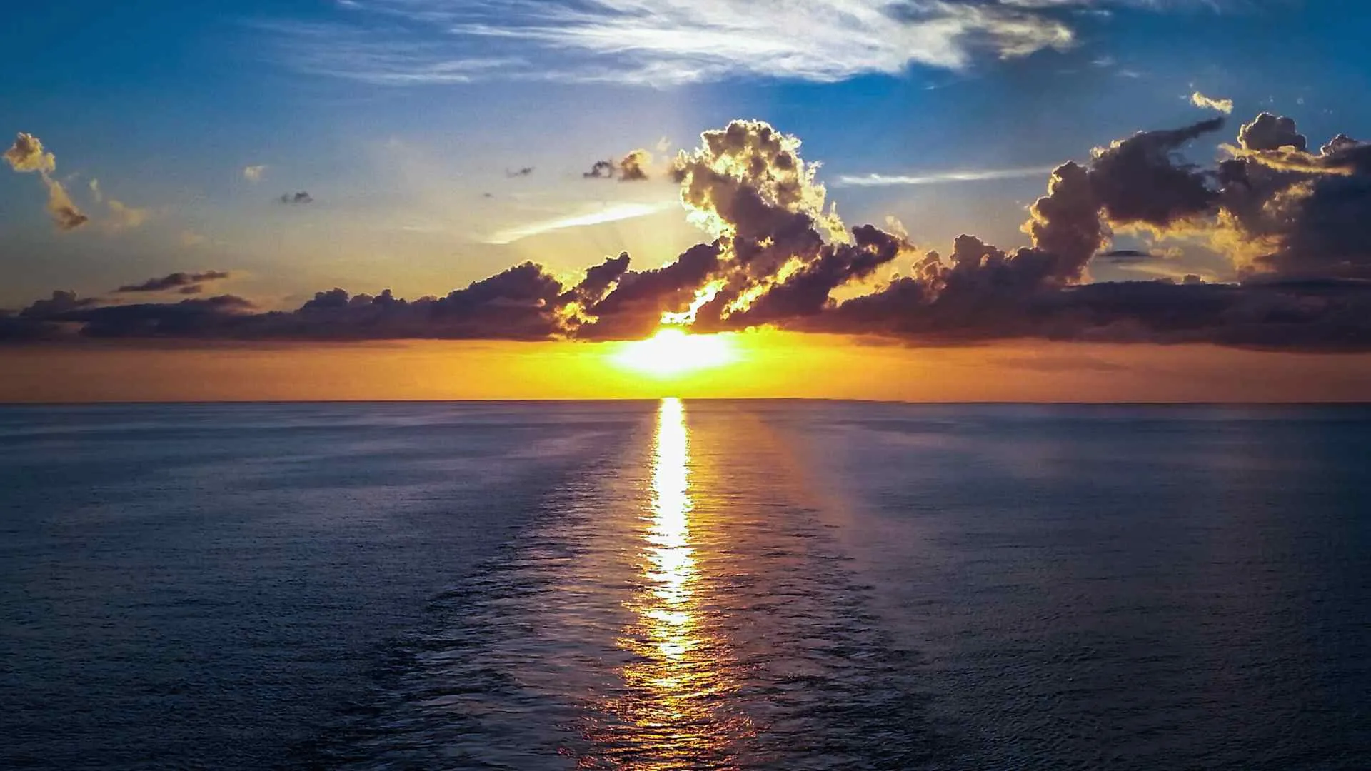Best Marella Discovery 2 Cabins Best Marella Discovery 2 Cabins