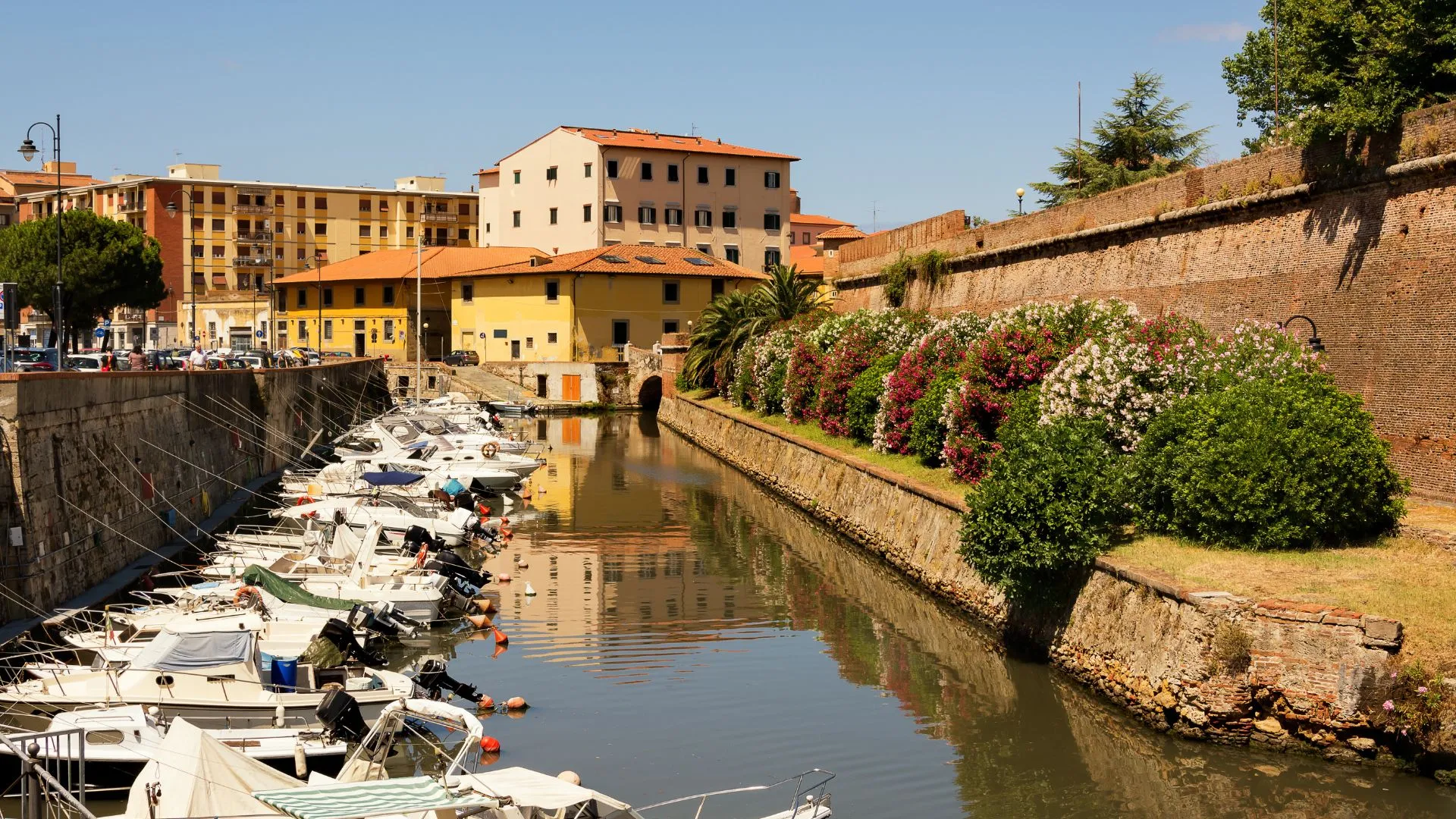 cruise port livorno map