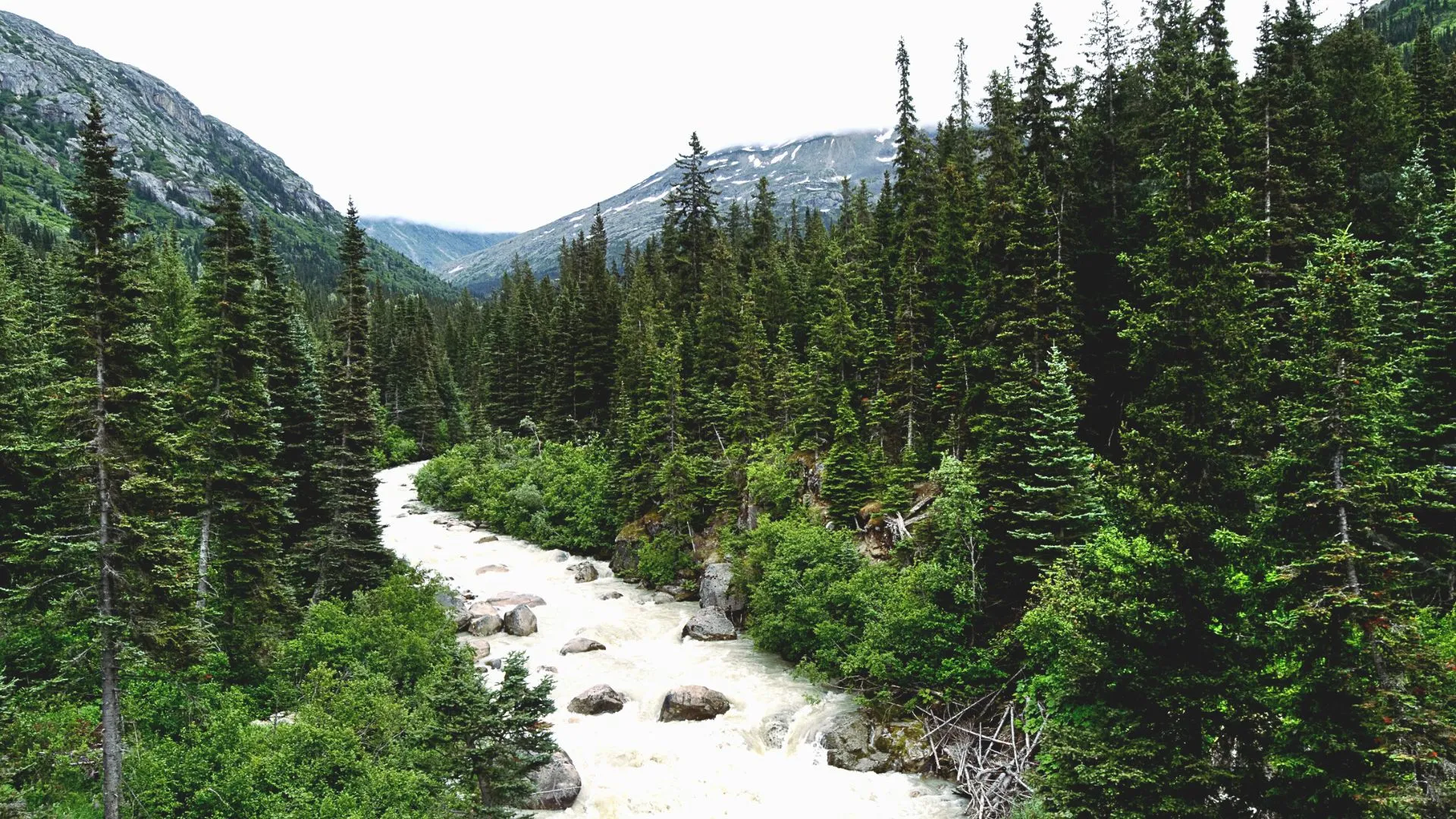 cruise port skagway alaska (4)