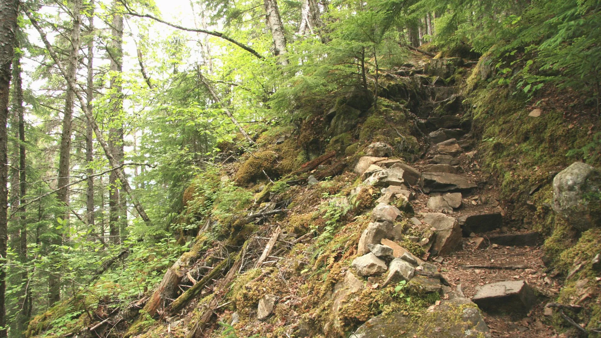 cruise port skagway alaska (5) Chilkoot Trail
