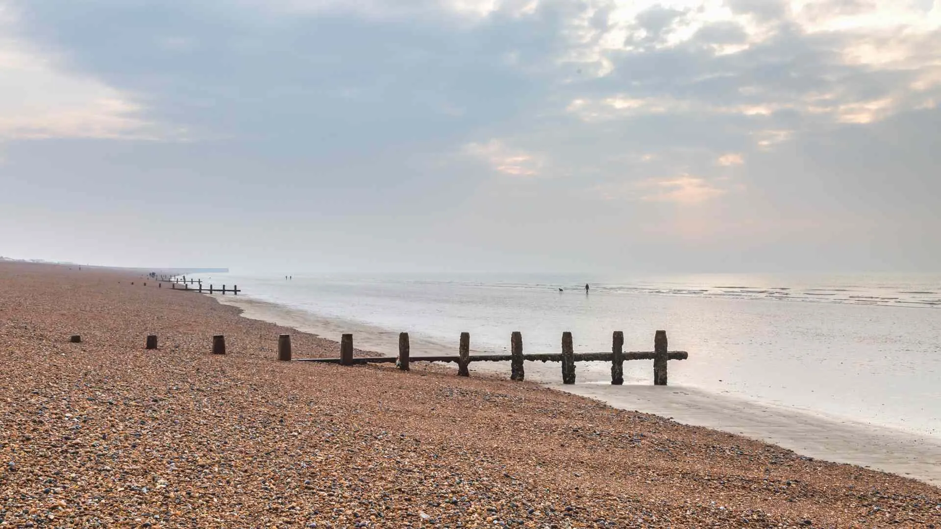 dog beaches Brighton-4 Shoreham Beach
