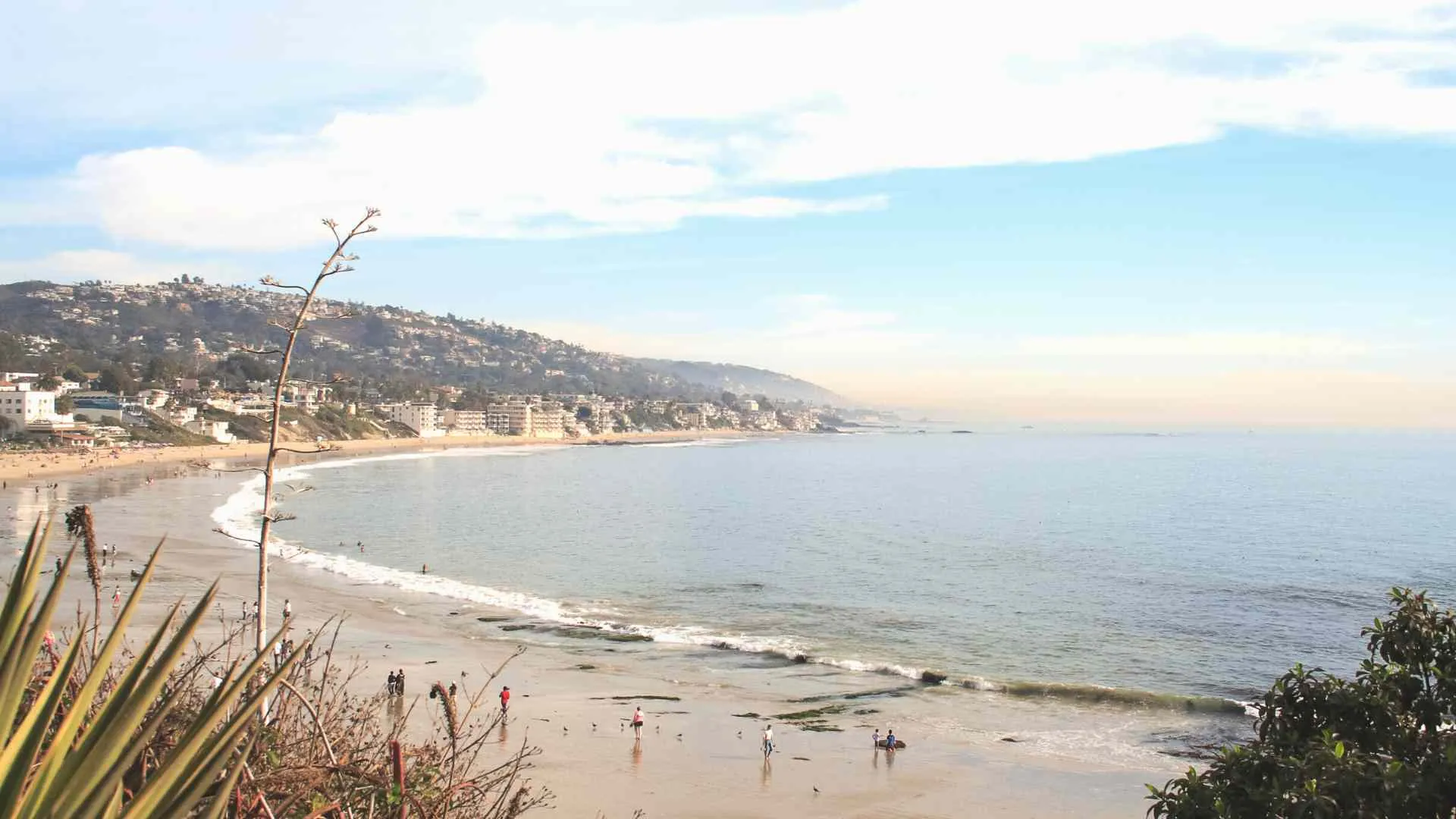 dog beaches Orange County-7 Main Beach Park
