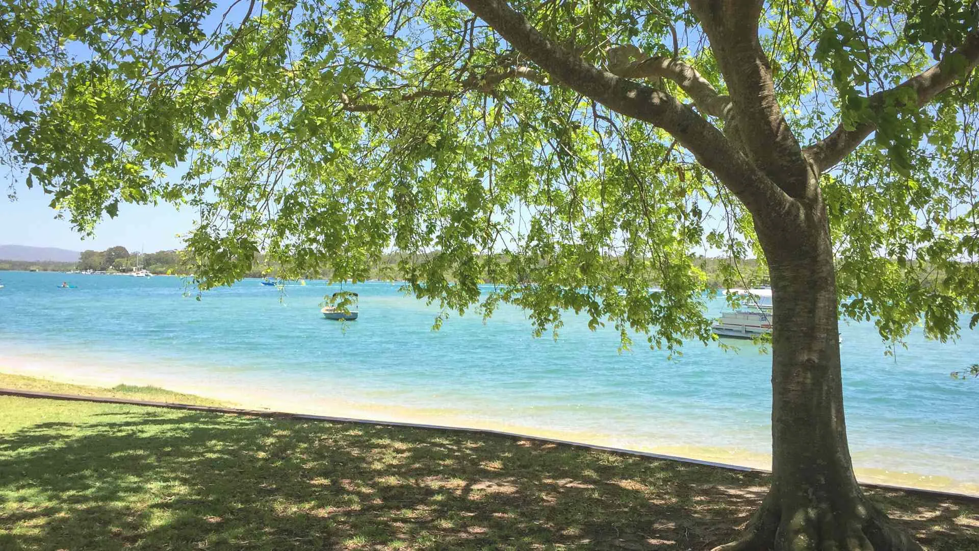 dog beaches Sunshine Coast-11 Mooloolah River Foreshore