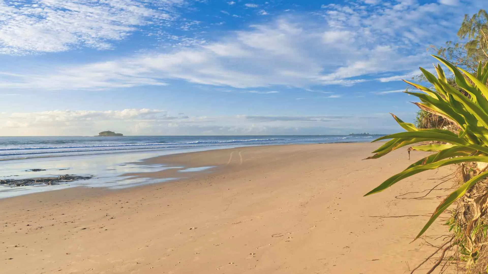 dog beaches Sunrise Coast-5 Mudjimba