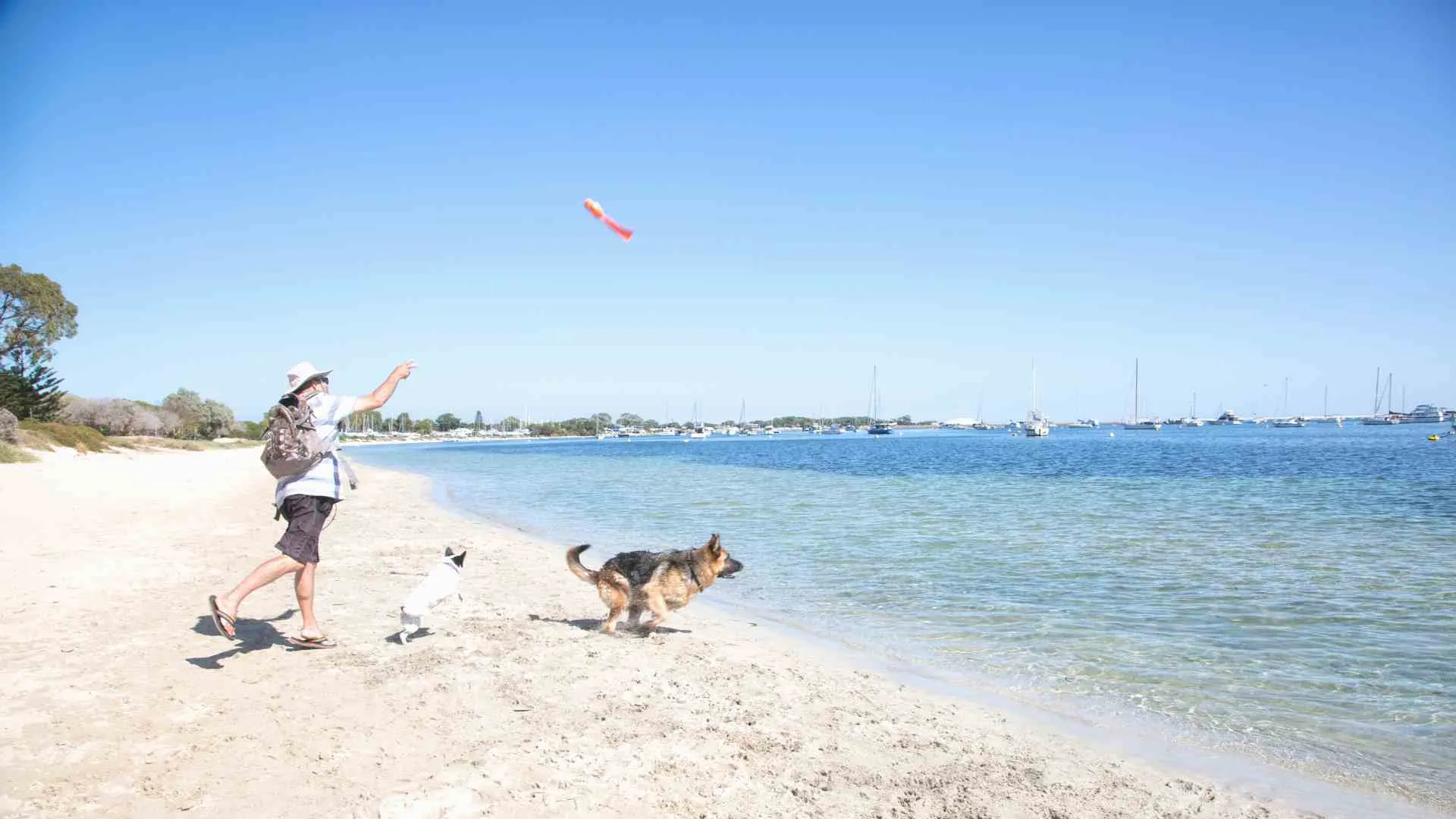 dog beaches perth (3) Rockingham Dog Beach