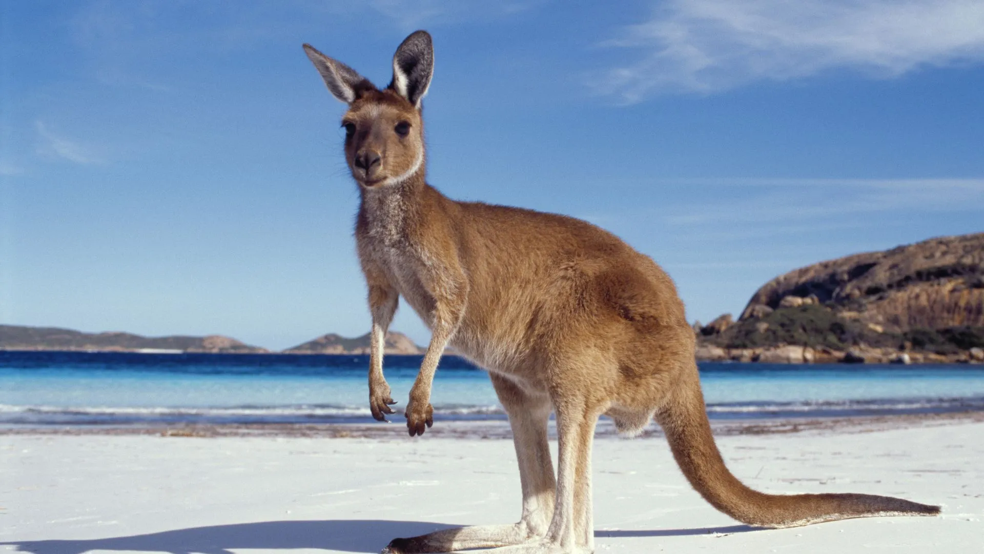 east coast of australia road trip (2) australia east coast beach road trip